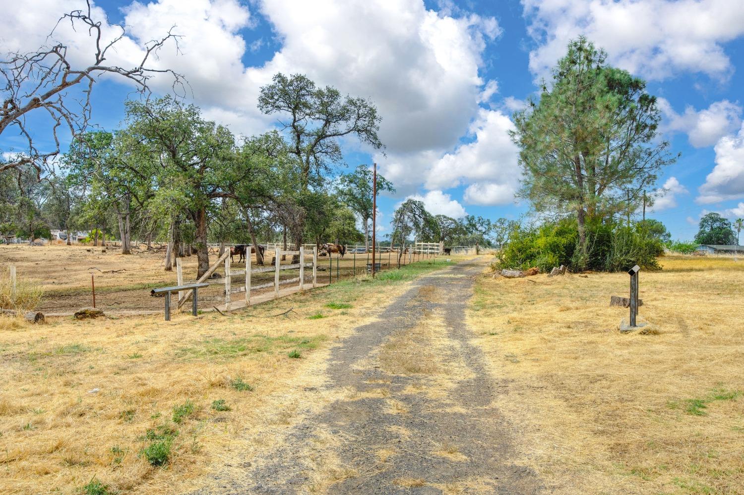 Drobish Road, Bangor, California image 34