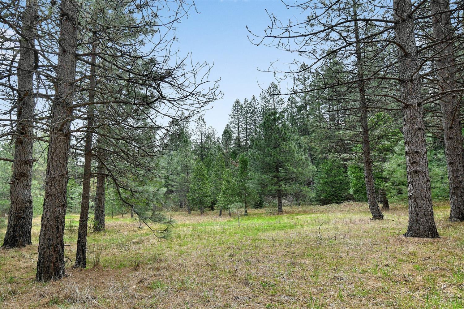 Lot 1 Baker Road, Camptonville, California image 13