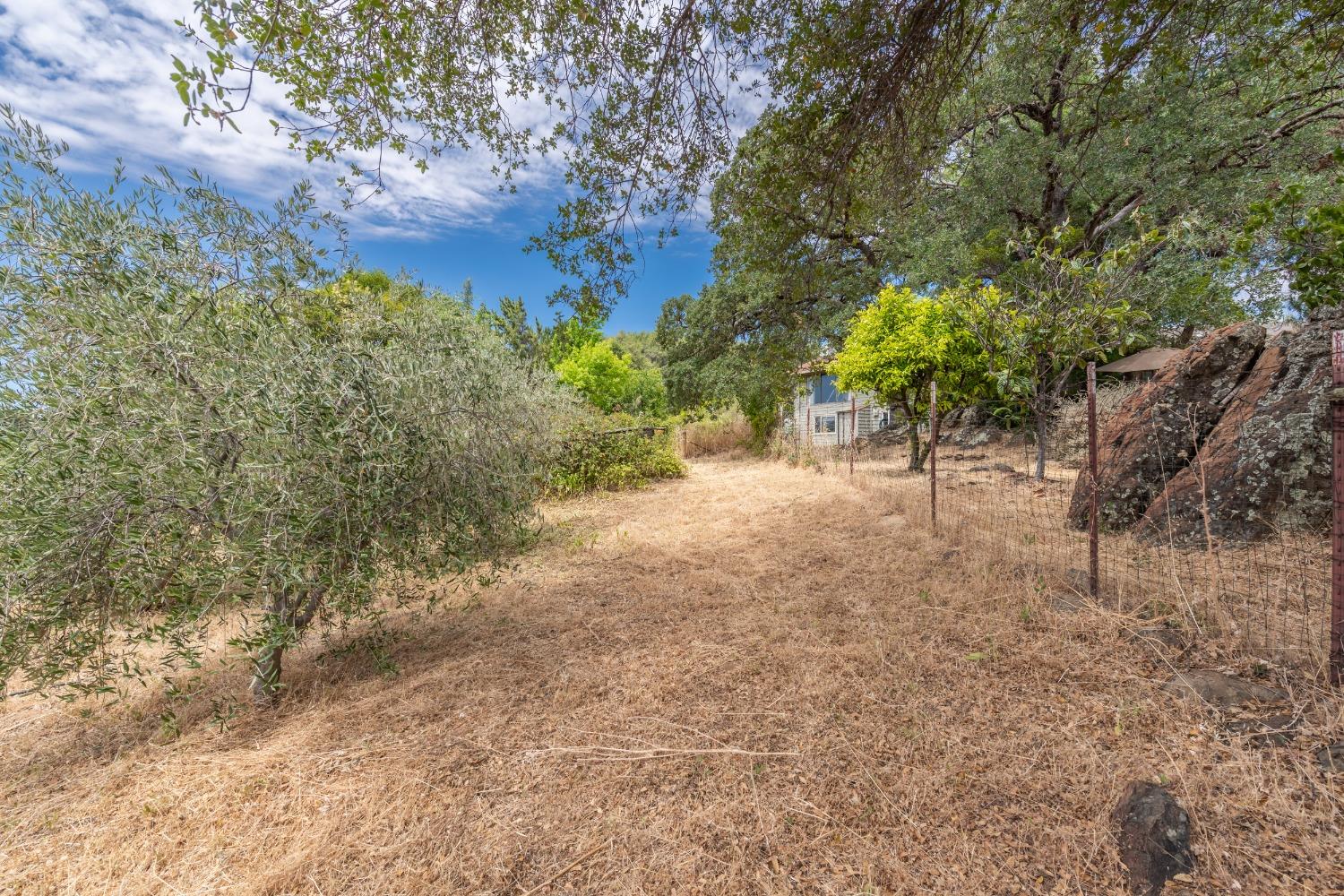 Detail Gallery Image 72 of 82 For 4241 Monk Rd, Placerville,  CA 95667 - 3 Beds | 3 Baths