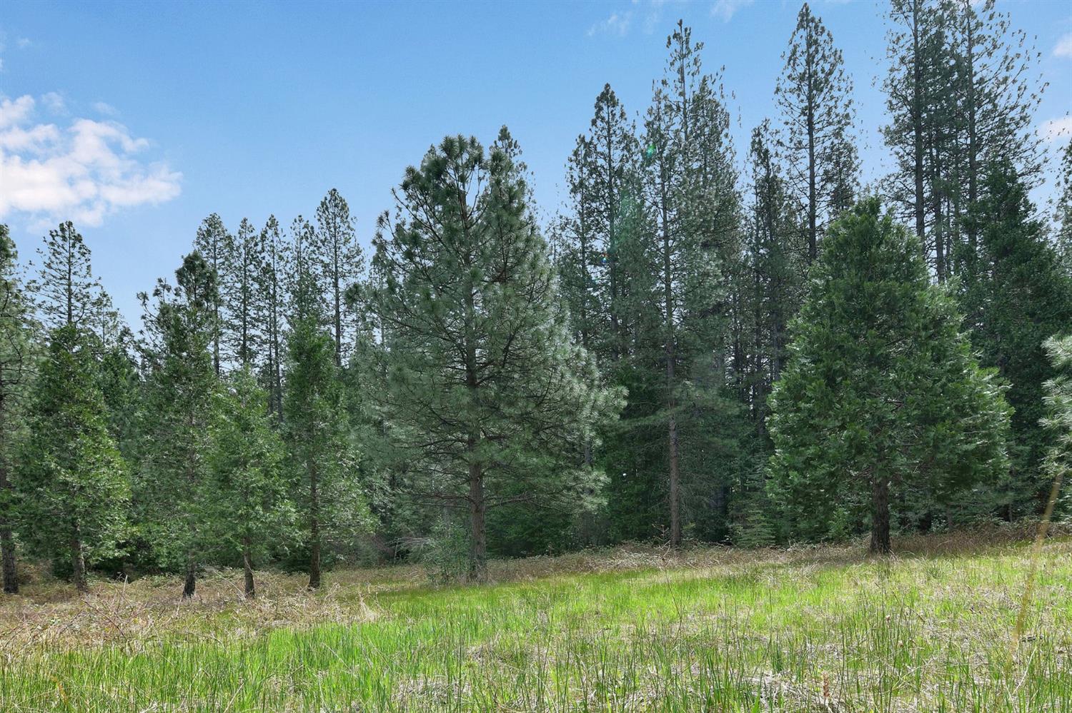 Lot 1 Baker Road, Camptonville, California image 49