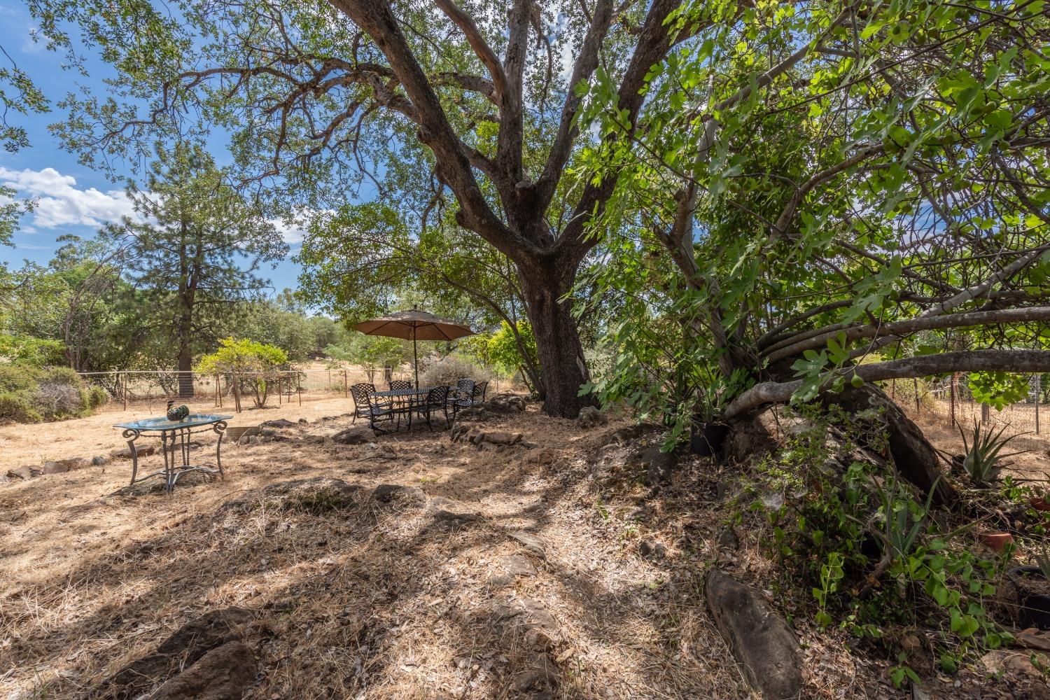 Detail Gallery Image 56 of 82 For 4241 Monk Rd, Placerville,  CA 95667 - 3 Beds | 3 Baths