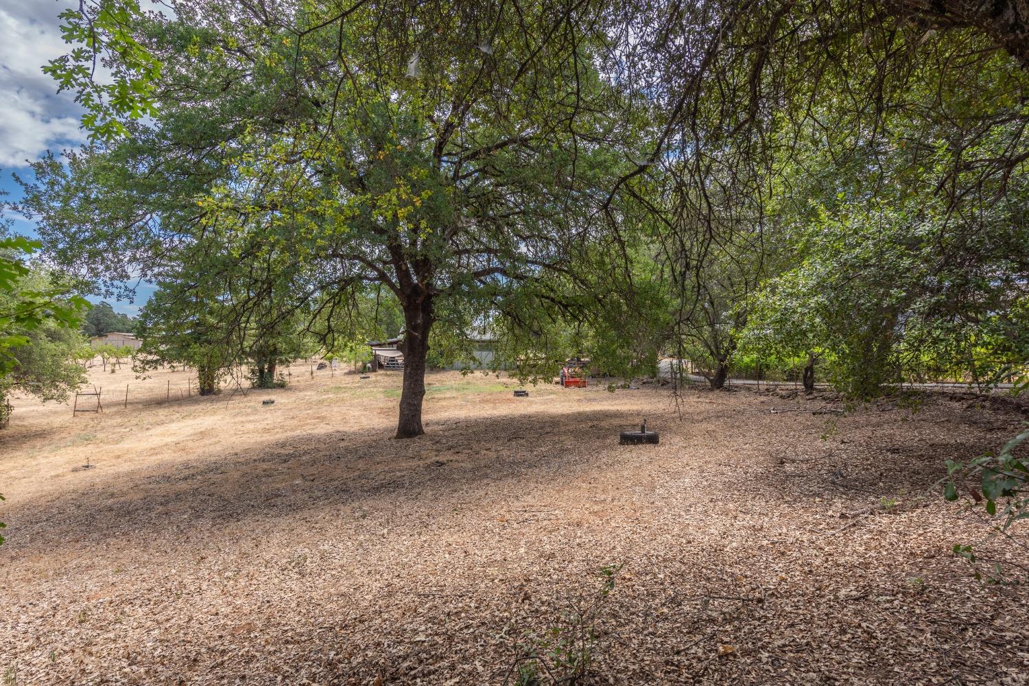 Detail Gallery Image 70 of 82 For 4241 Monk Rd, Placerville,  CA 95667 - 3 Beds | 3 Baths