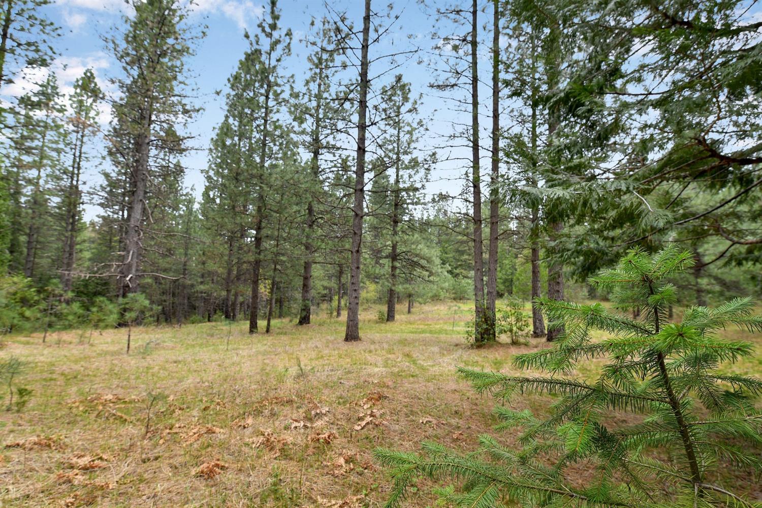 Lot 1 Baker Road, Camptonville, California image 41