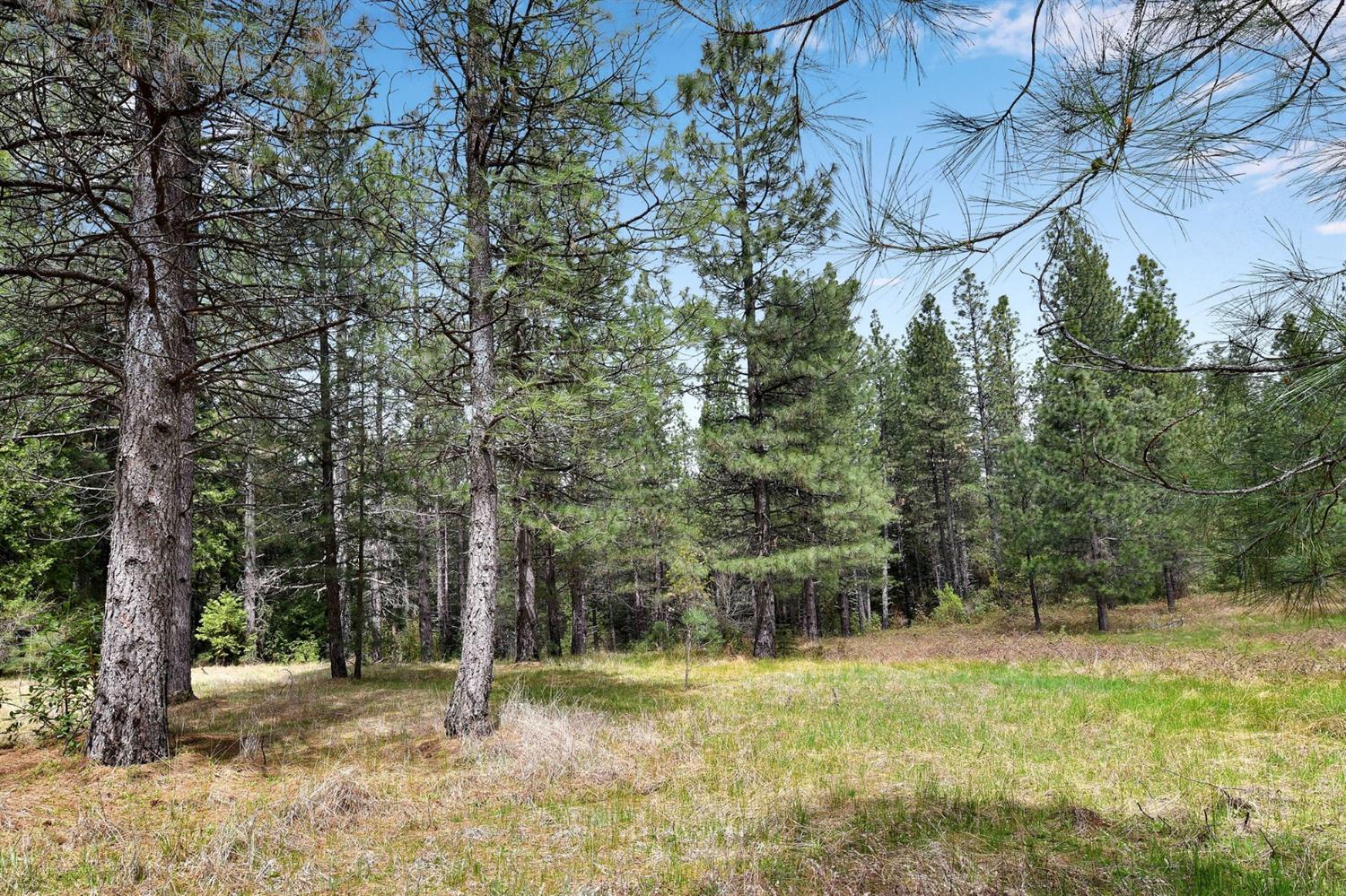 Lot 1 Baker Road, Camptonville, California image 25