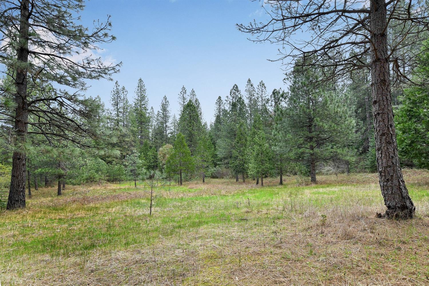 Lot 1 Baker Road, Camptonville, California image 8