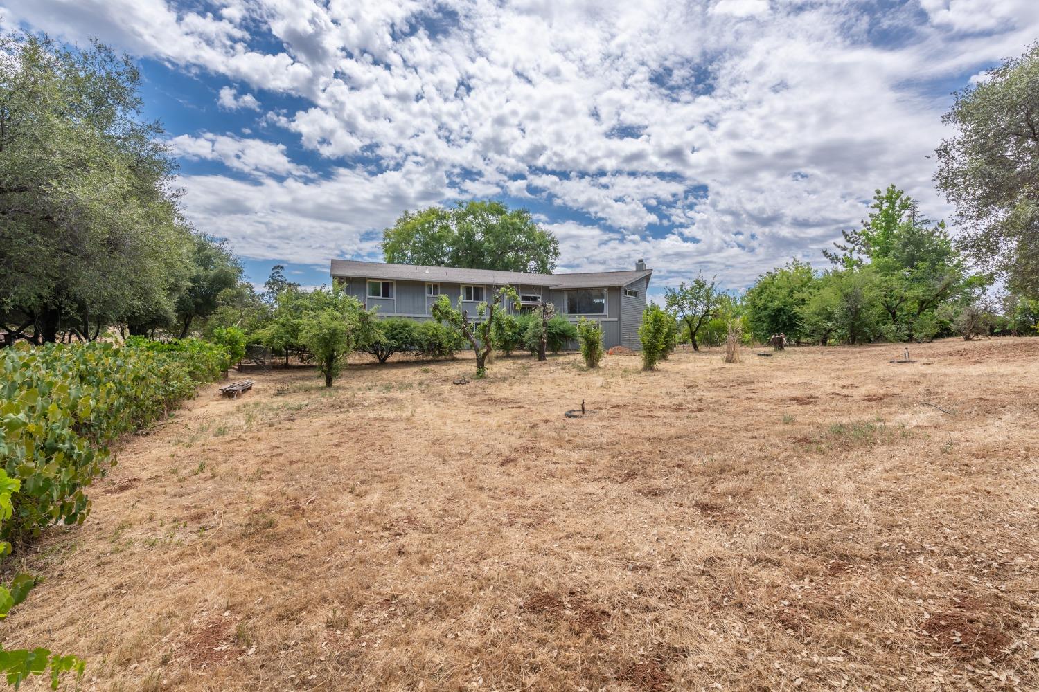 Detail Gallery Image 13 of 82 For 4241 Monk Rd, Placerville,  CA 95667 - 3 Beds | 3 Baths