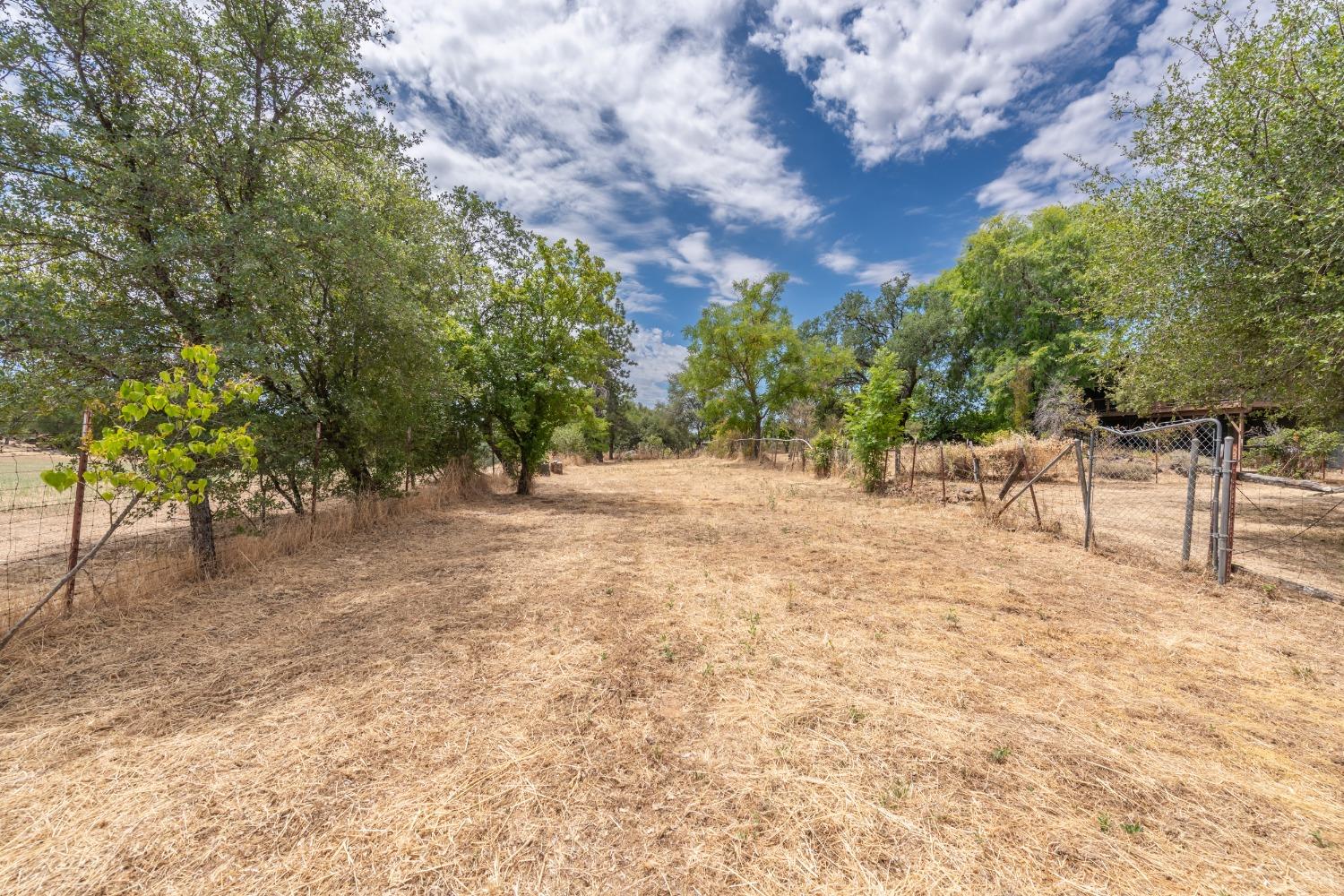 Detail Gallery Image 69 of 82 For 4241 Monk Rd, Placerville,  CA 95667 - 3 Beds | 3 Baths