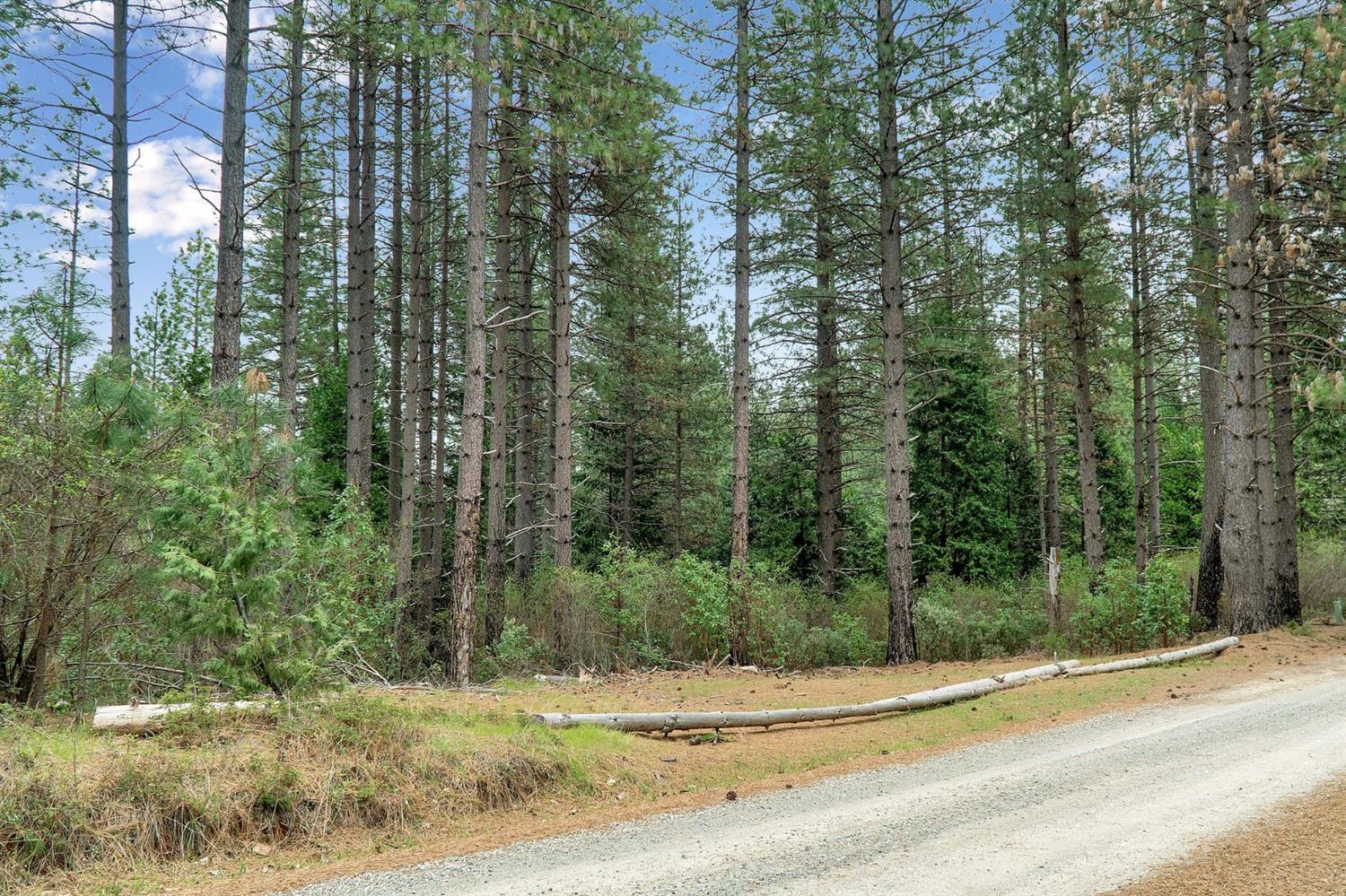 Lot 1 Baker Road, Camptonville, California image 30