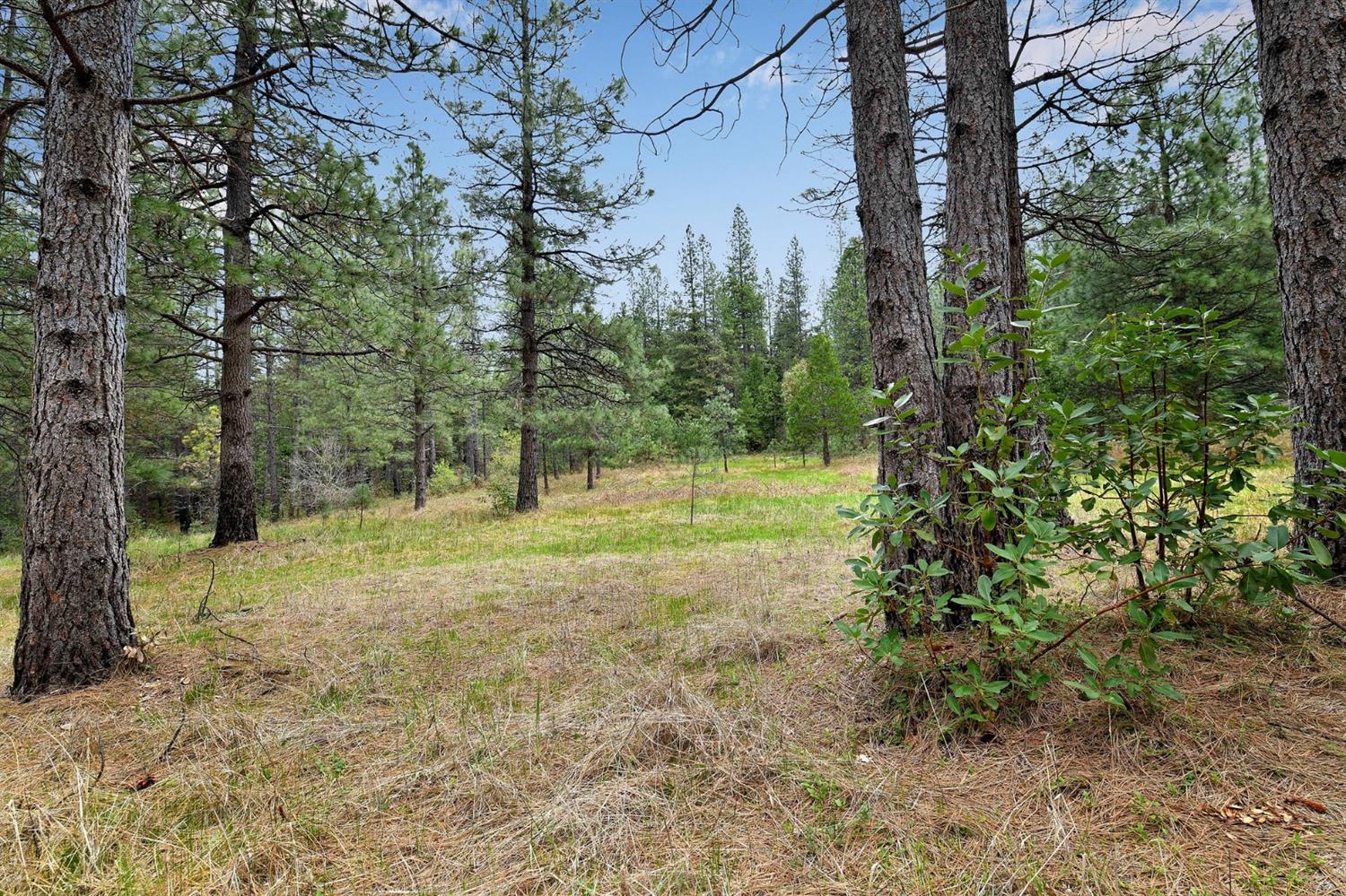 Lot 1 Baker Road, Camptonville, California image 11