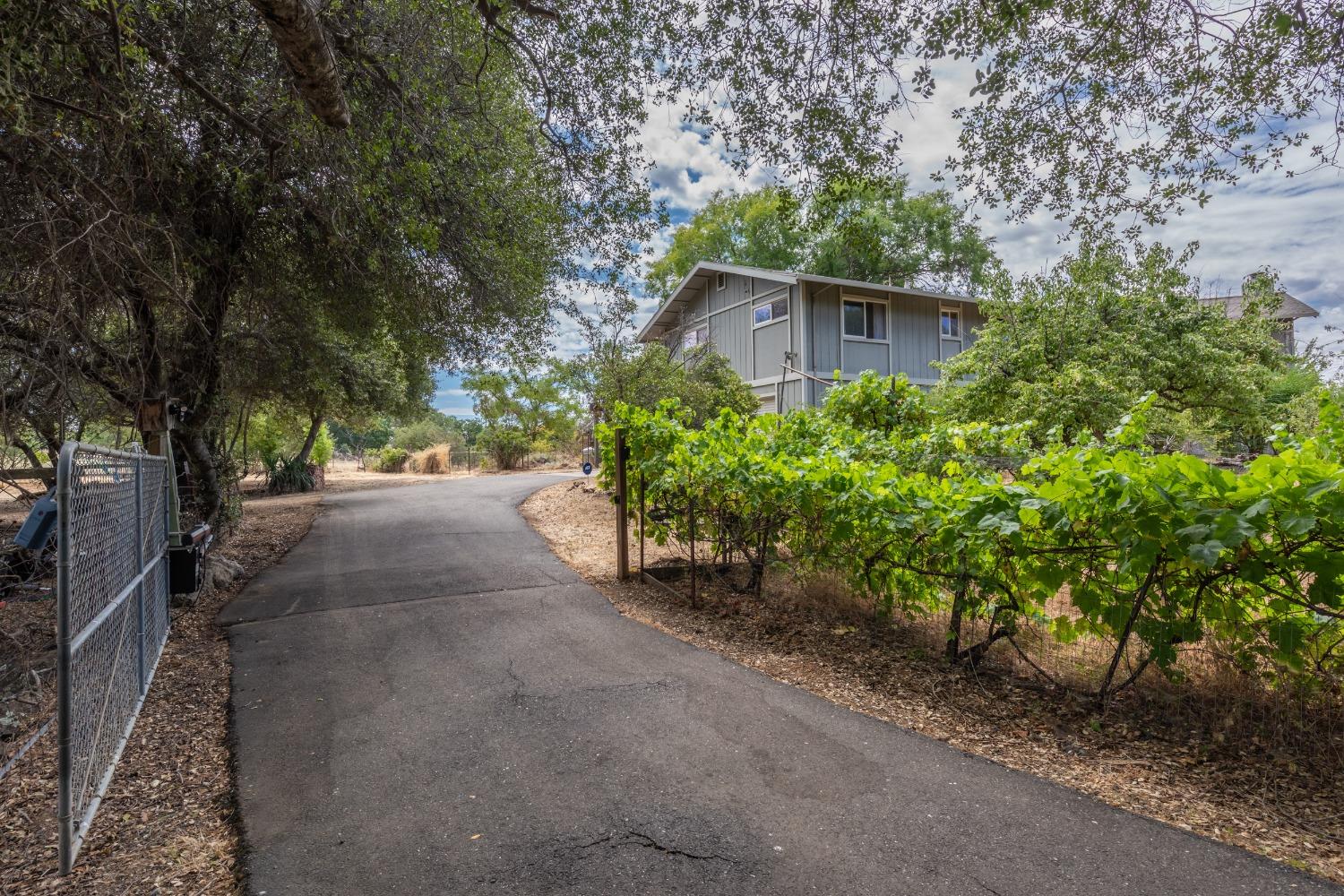 Detail Gallery Image 66 of 82 For 4241 Monk Rd, Placerville,  CA 95667 - 3 Beds | 3 Baths