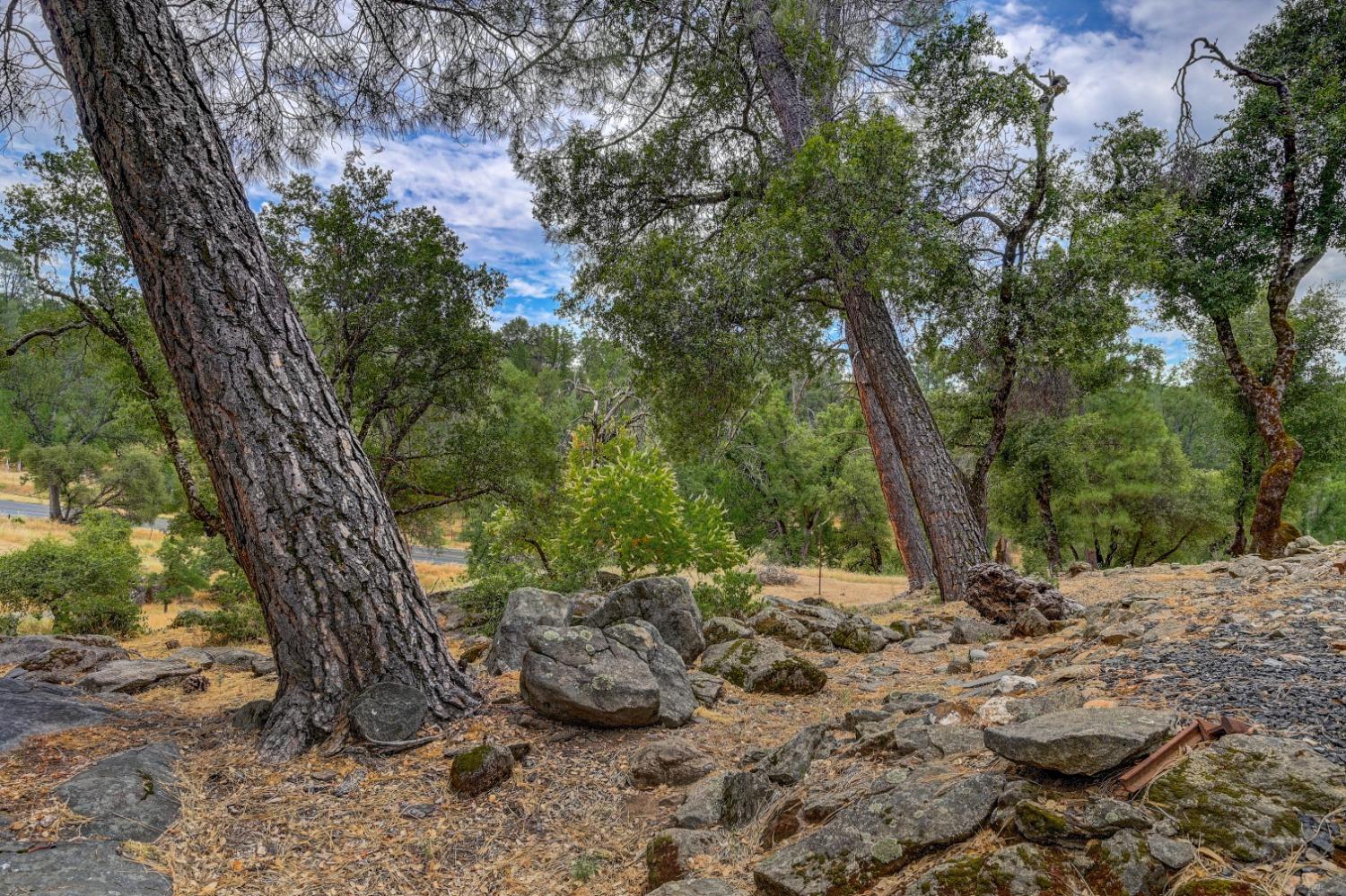 Cherokee Road, Tuolumne, California image 17