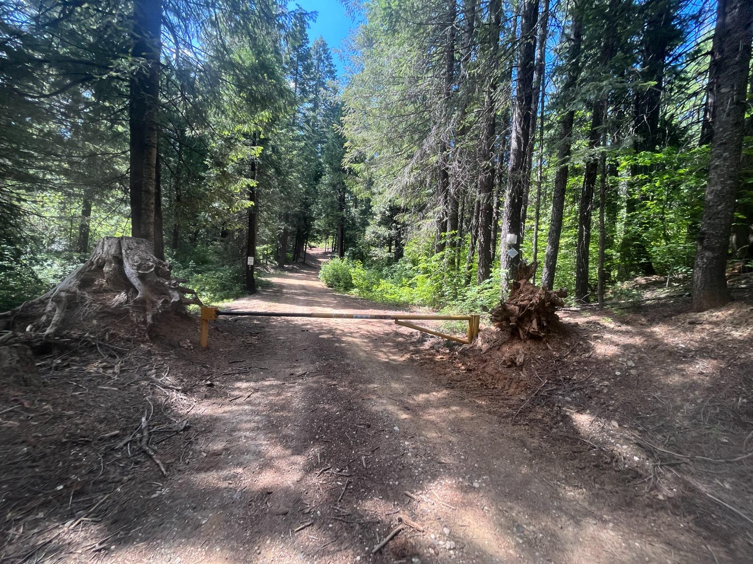 Nf-21n20.1, Strawberry Valley, California image 3