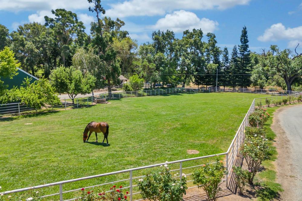 Detail Gallery Image 12 of 94 For 23303 E Buena Vista Rd, Clements,  CA 95227 - 5 Beds | 3 Baths