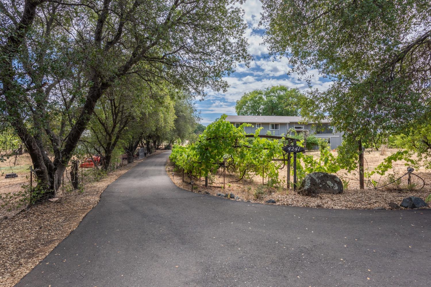 Detail Gallery Image 1 of 82 For 4241 Monk Rd, Placerville,  CA 95667 - 3 Beds | 3 Baths