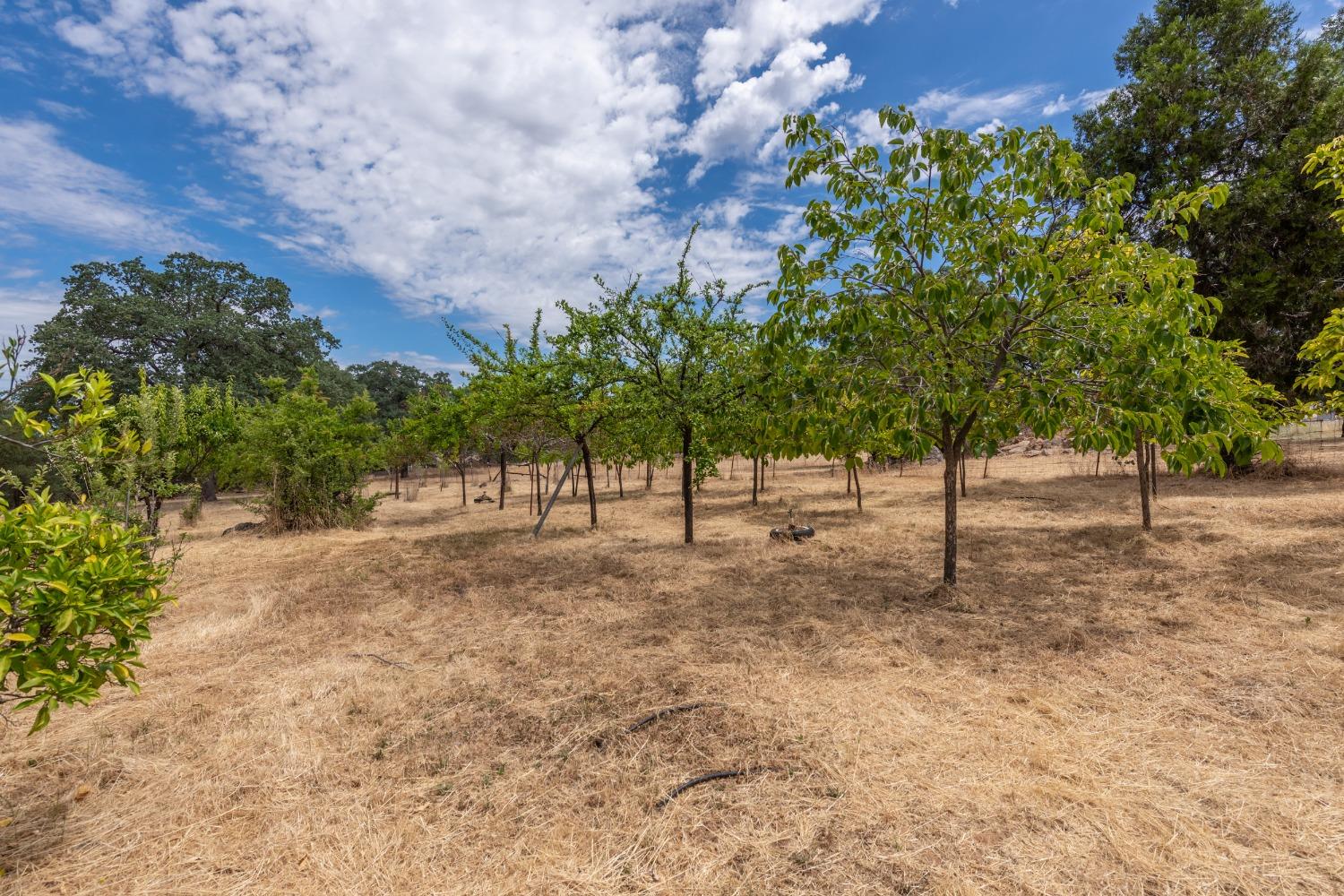 Detail Gallery Image 64 of 82 For 4241 Monk Rd, Placerville,  CA 95667 - 3 Beds | 3 Baths