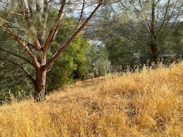 Kiva Court, Copperopolis, California image 3