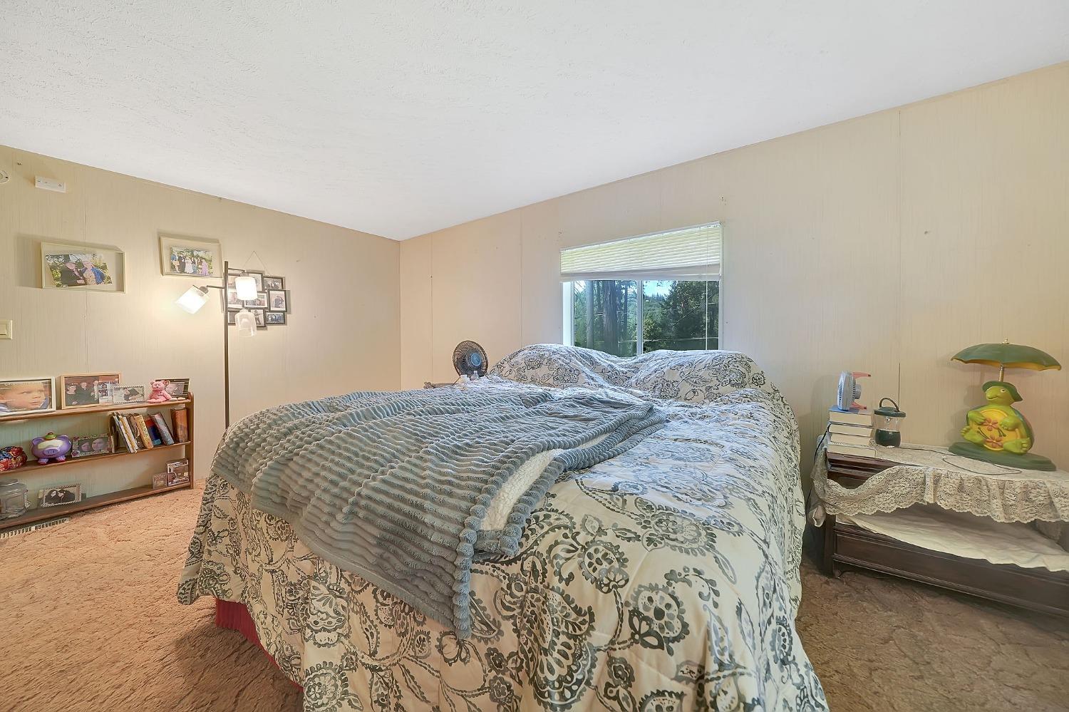 Detail Gallery Image 16 of 37 For 24650 Mesa Dr, Pioneer,  CA 95666 - 3 Beds | 2 Baths