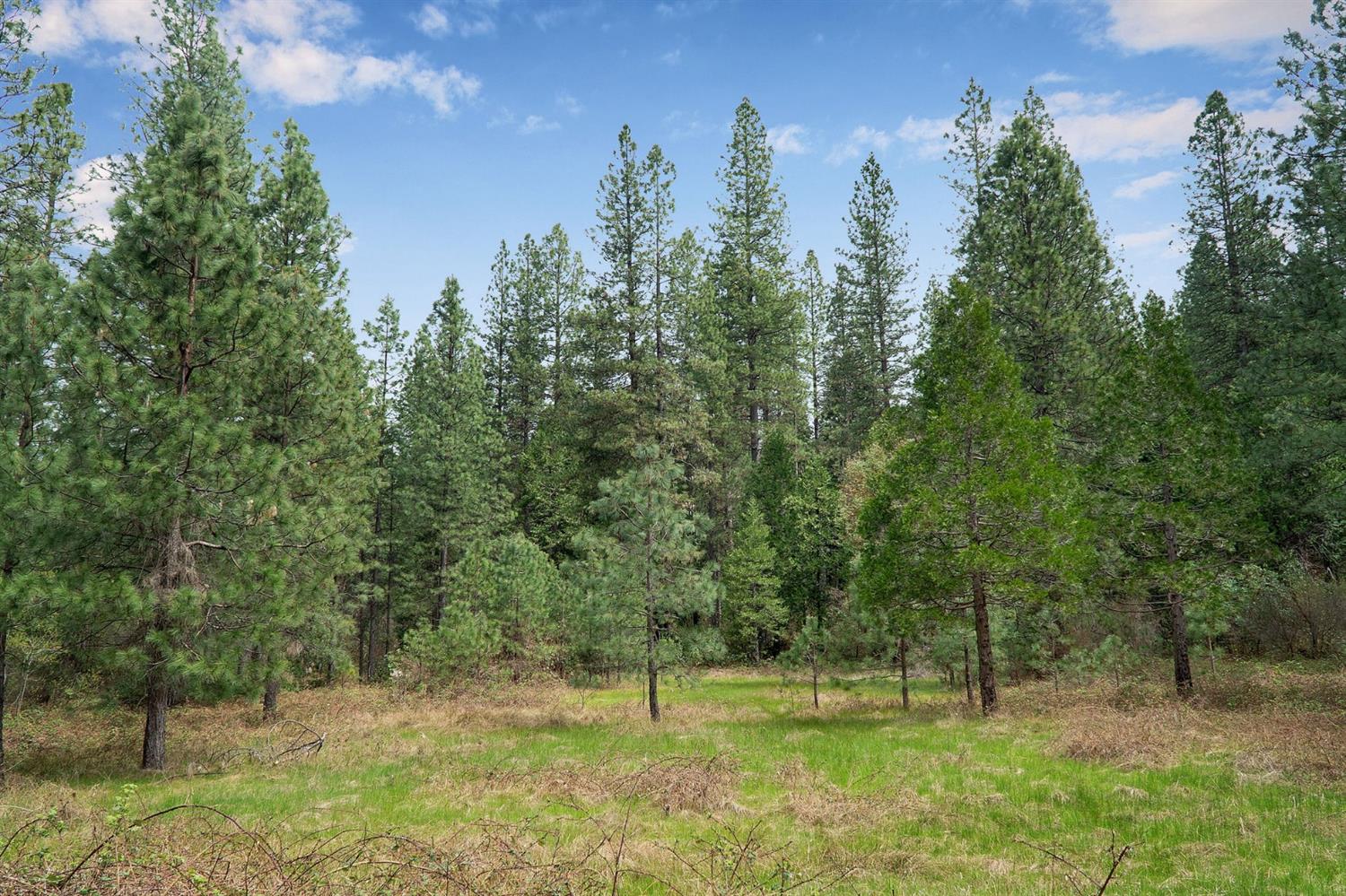 Lot 1 Baker Road, Camptonville, California image 19