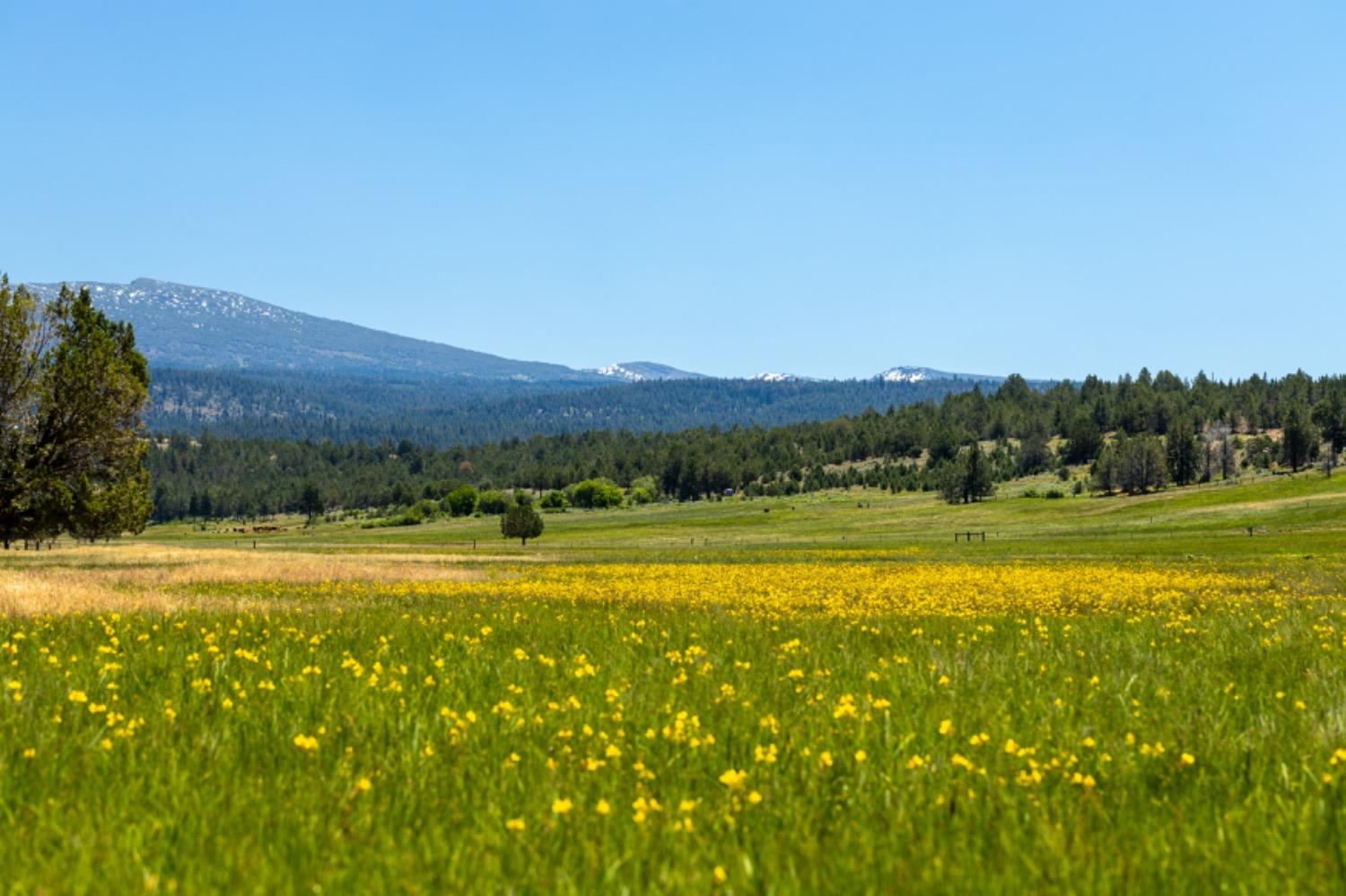 County Road 199, Alturas, California image 2