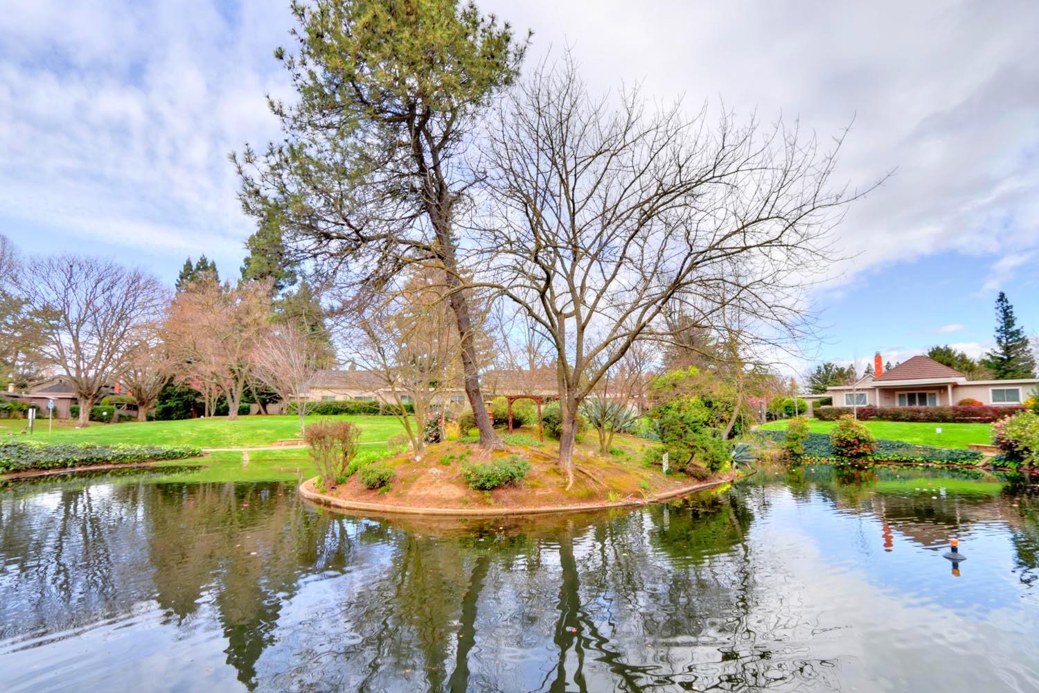 Detail Gallery Image 50 of 51 For 2313 American River Dr, Sacramento,  CA 95825 - 2 Beds | 2 Baths