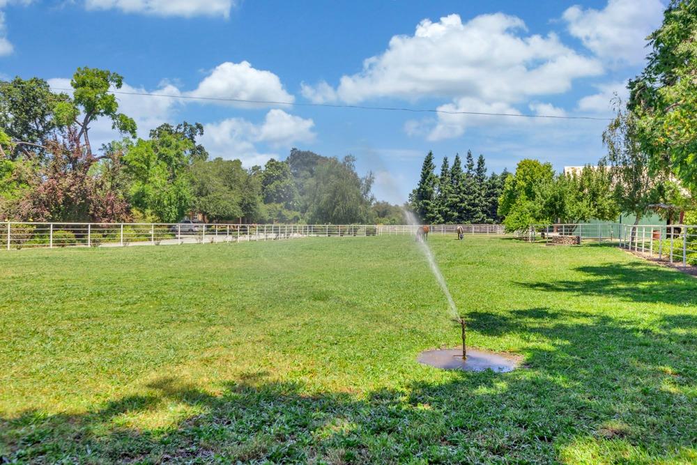 Detail Gallery Image 92 of 94 For 23303 E Buena Vista Rd, Clements,  CA 95227 - 5 Beds | 3 Baths