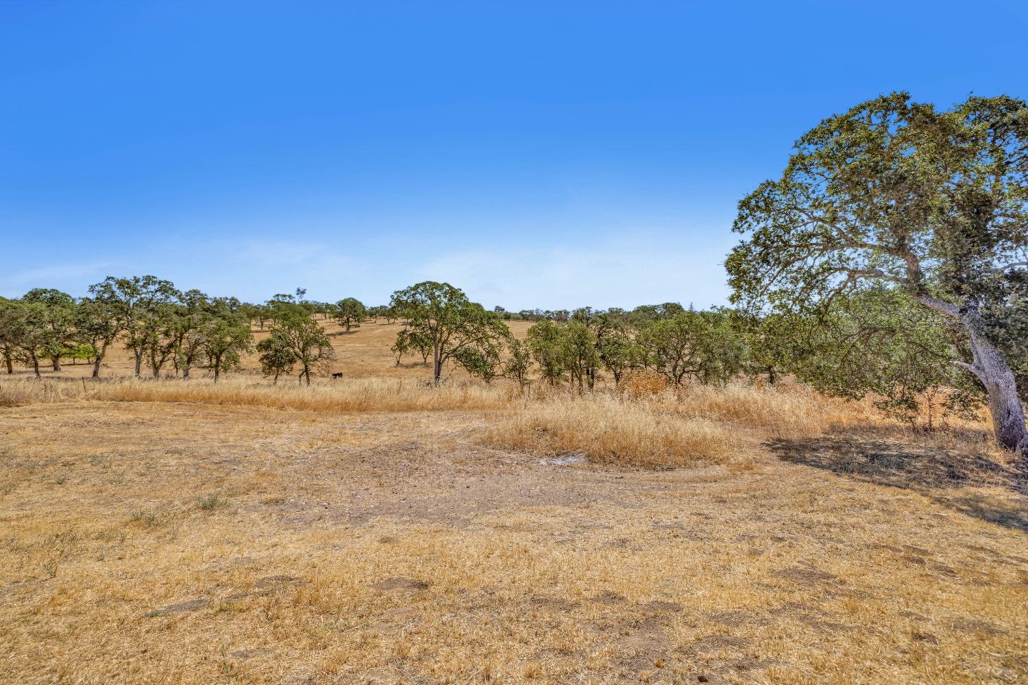 Curran Road, Ione, California image 34