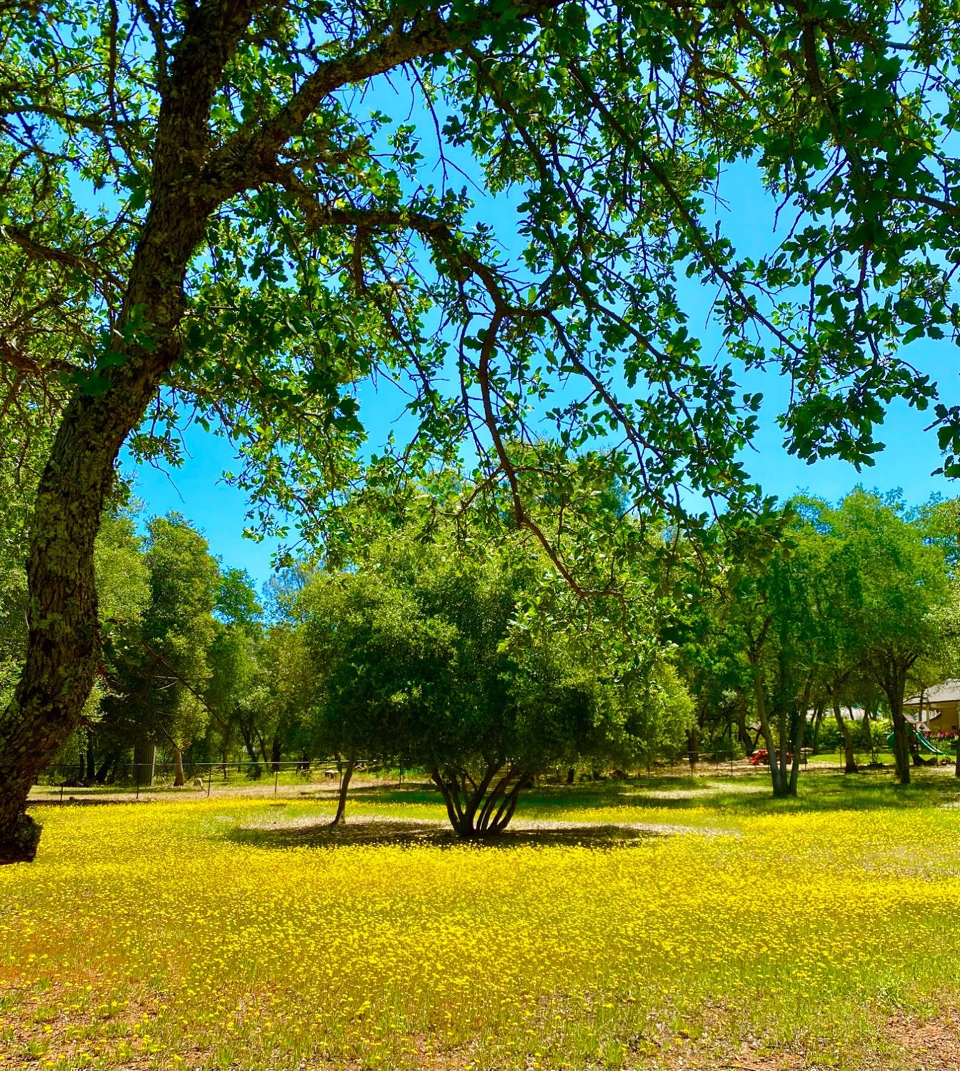 Milton Ranch Road, Shingle Springs, California image 34