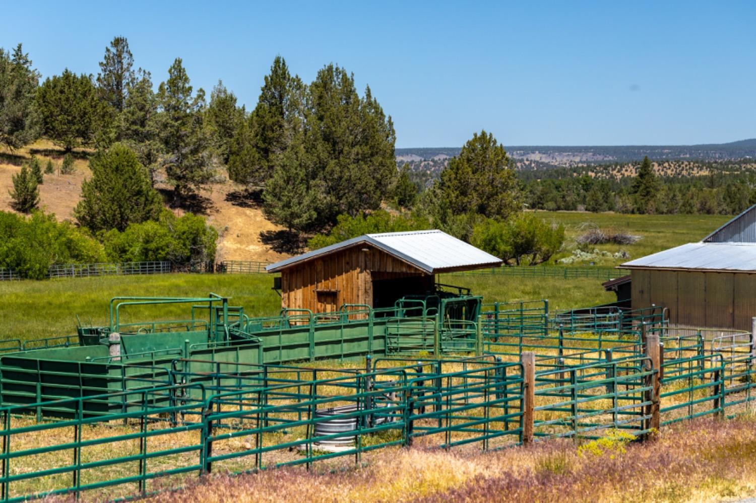 County Road 199, Alturas, California image 19