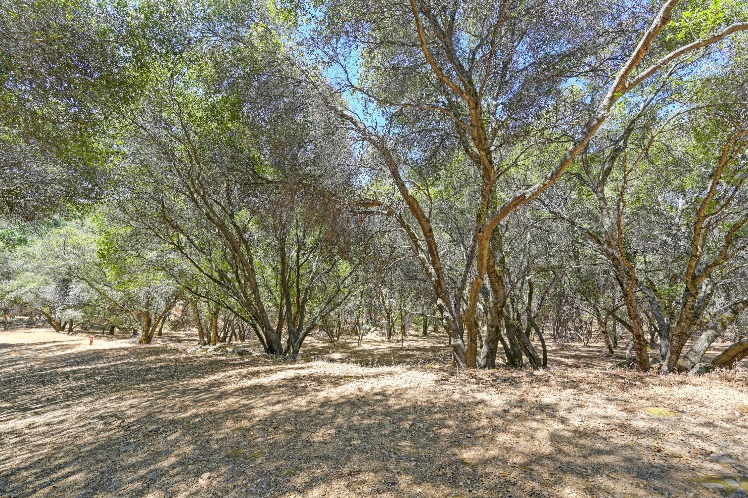 Buckeye Court, Penn Valley, California image 37