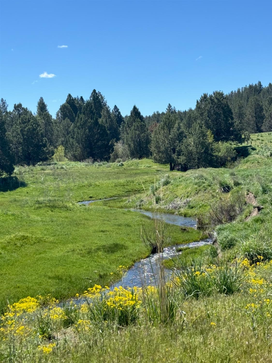 County Road 199, Alturas, California image 5