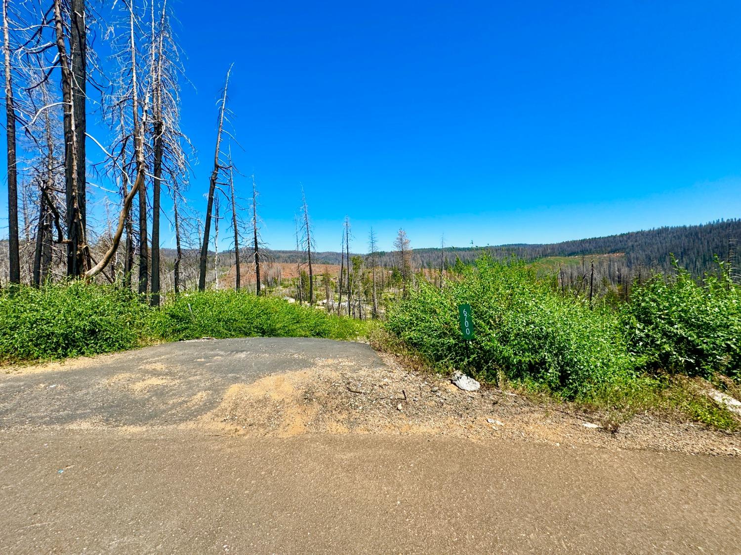 Tyler Drive, Grizzly Flats, California image 2