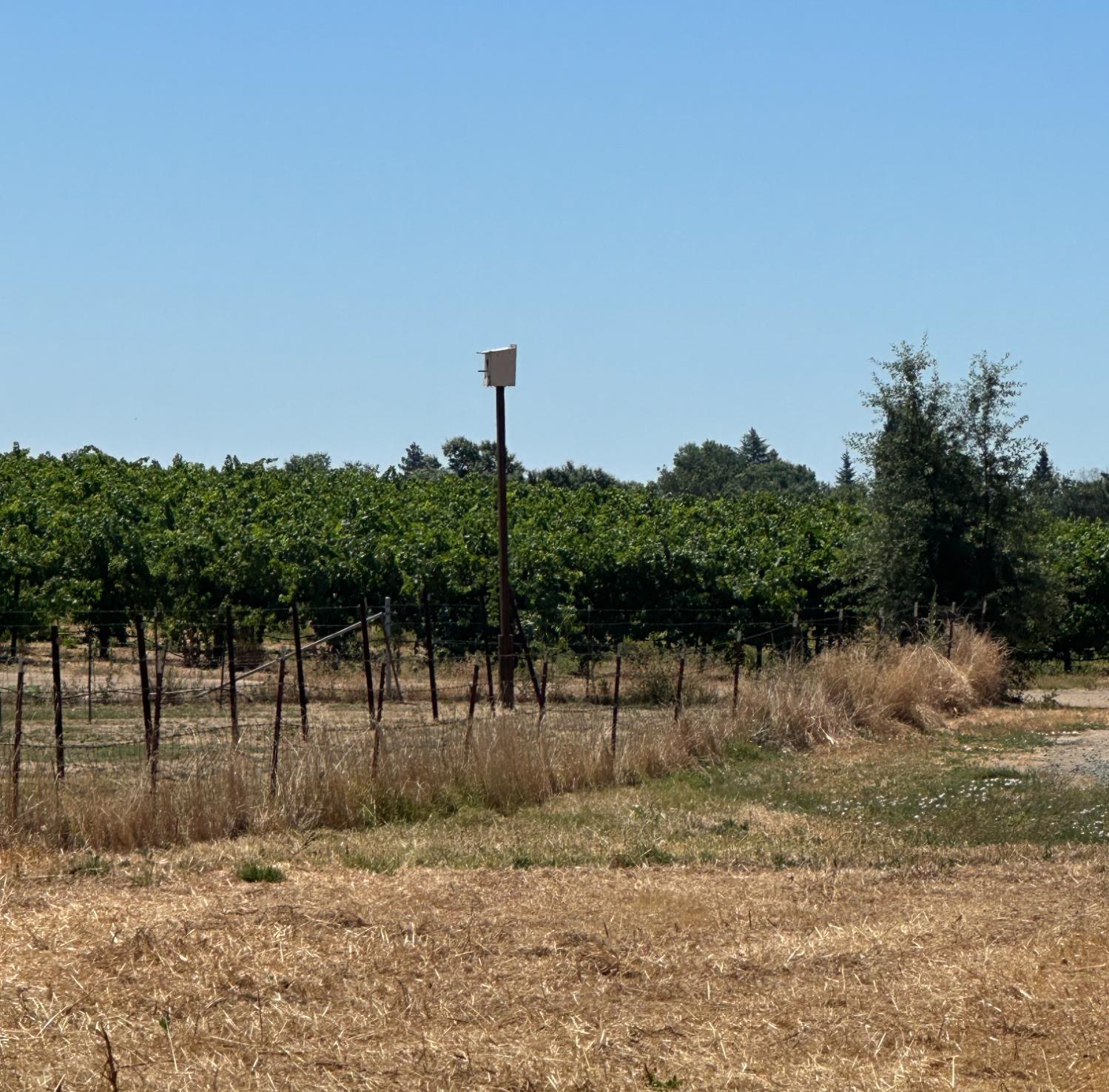 E Almond Street, Clements, California image 3