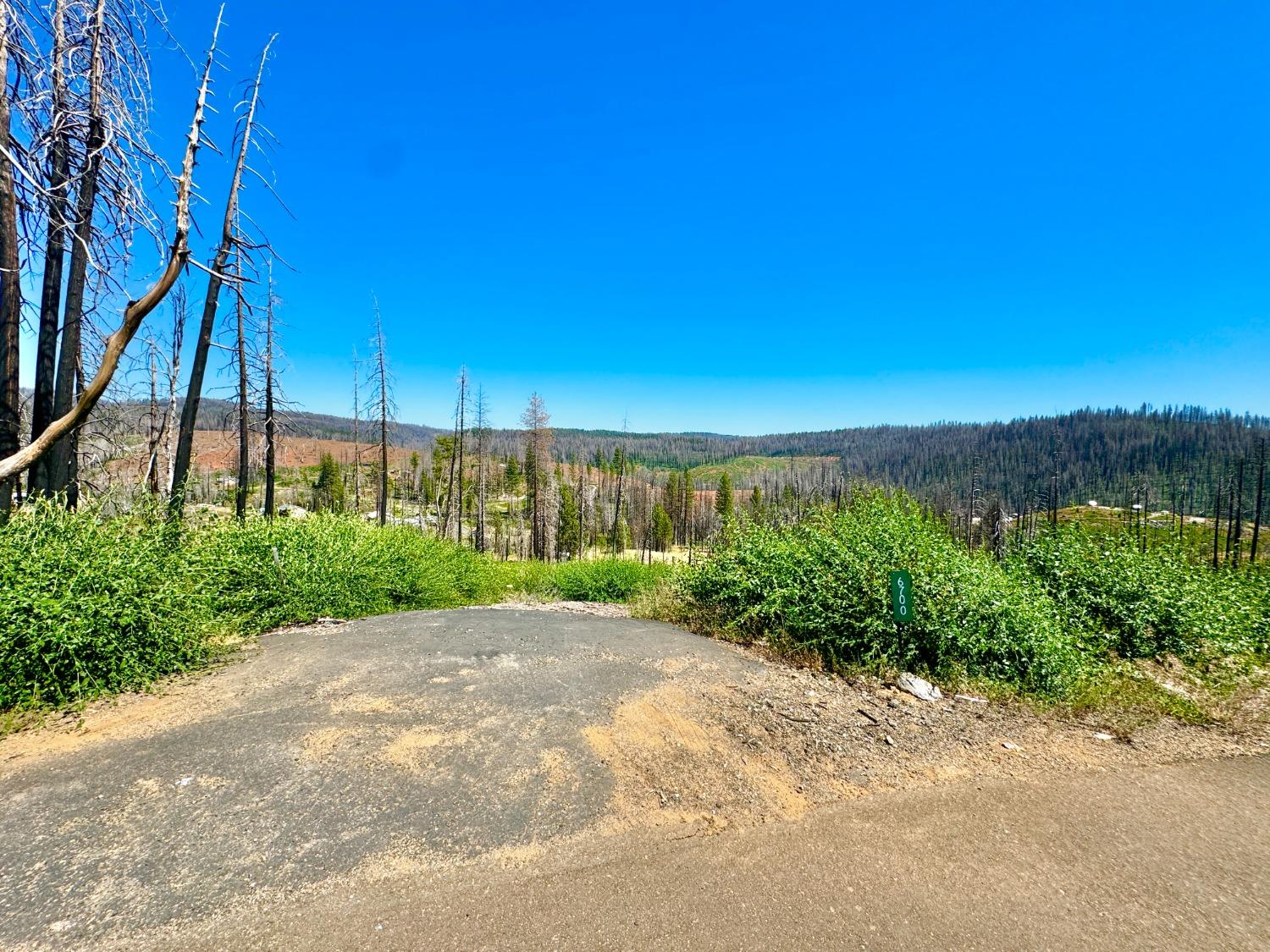 Tyler Drive, Grizzly Flats, California image 3