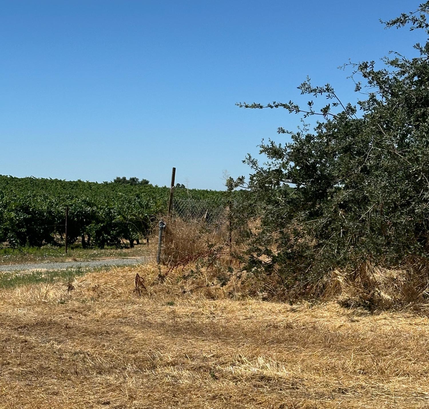 E Almond Street, Clements, California image 8