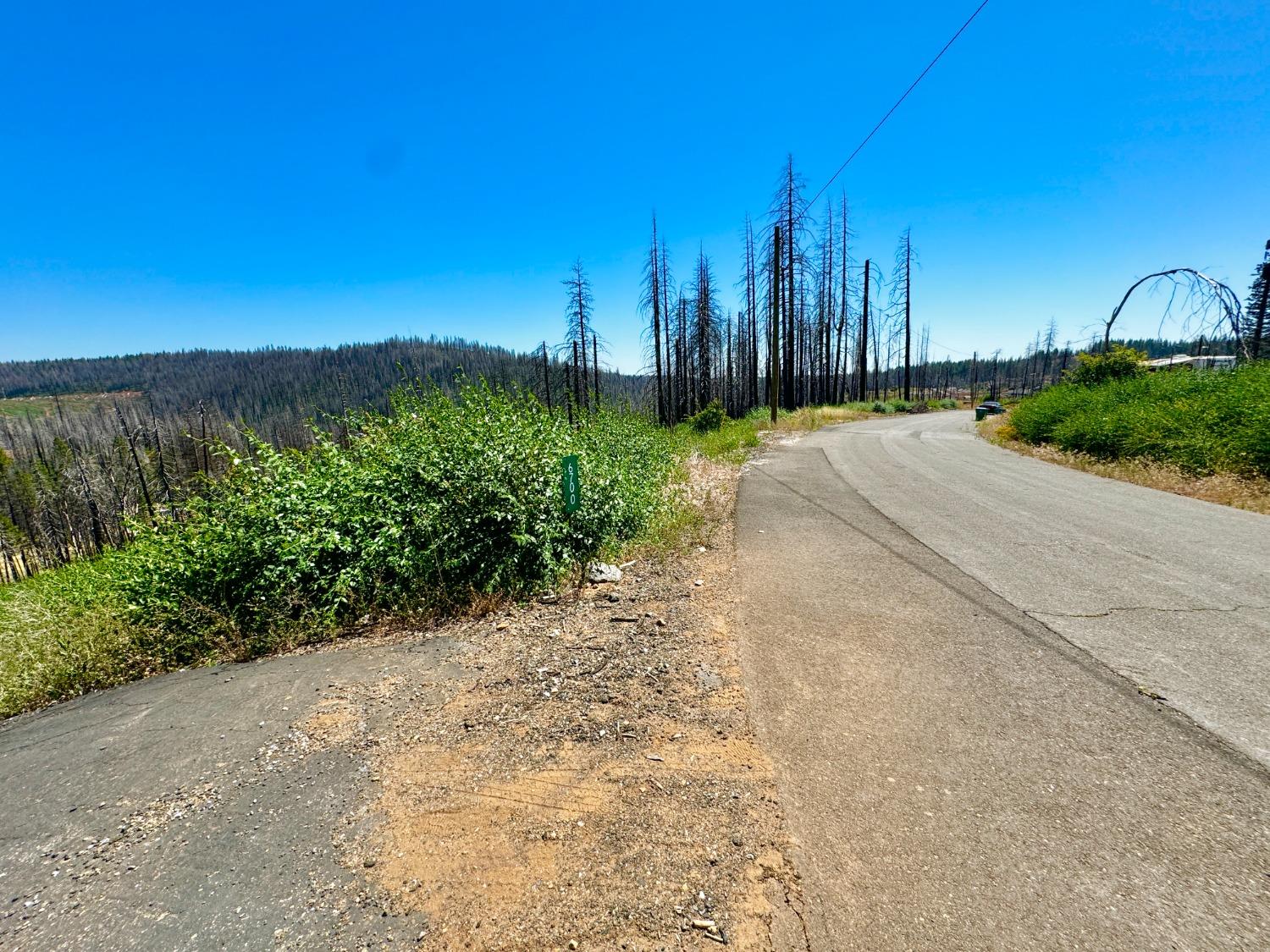 Tyler Drive, Grizzly Flats, California image 6