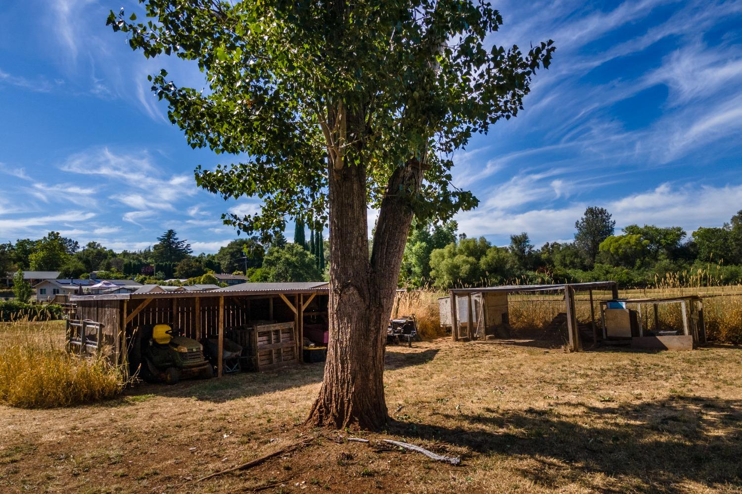 Pelkie Lane, Shingle Springs, California image 31