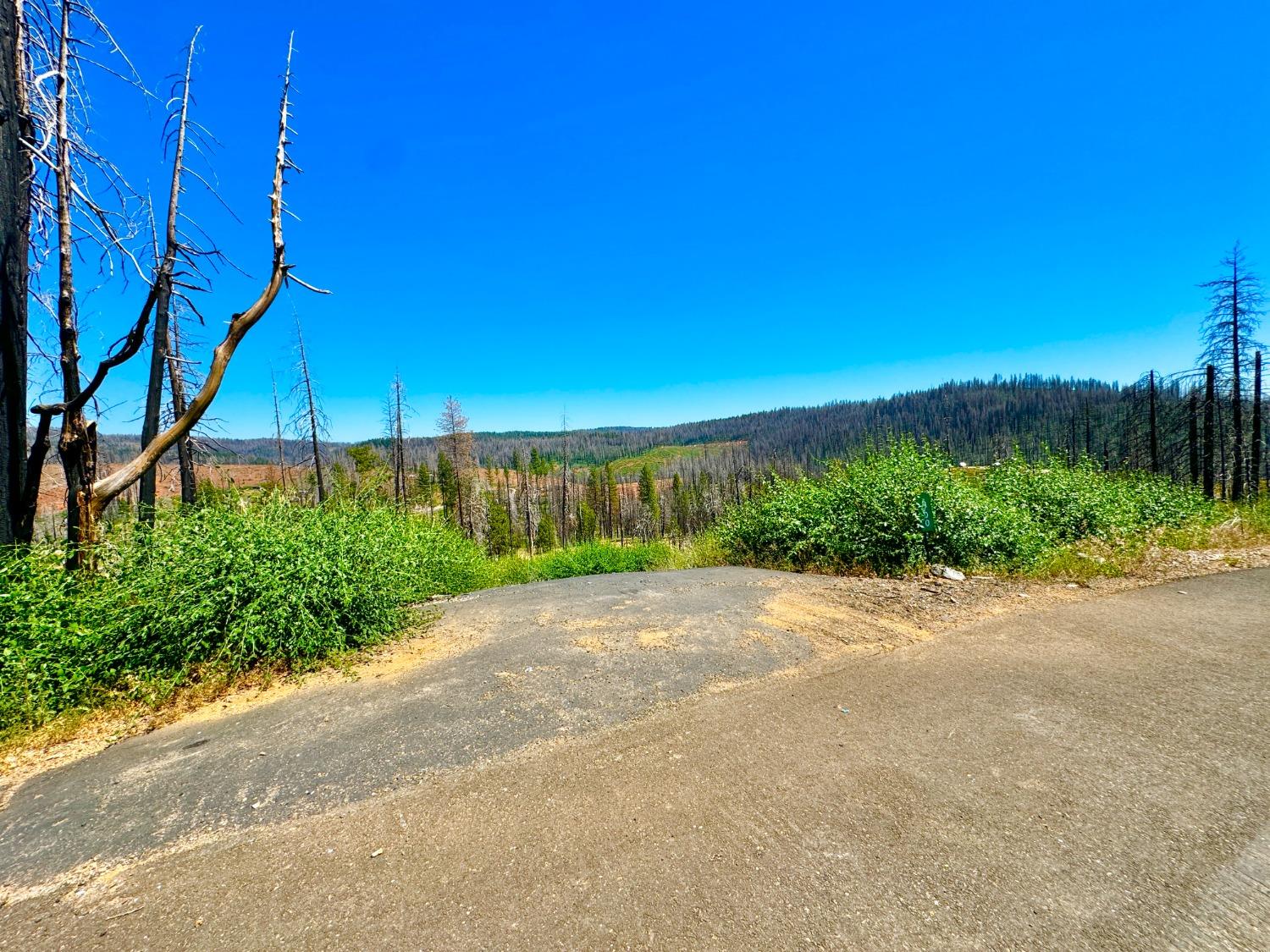 Tyler Drive, Grizzly Flats, California image 1