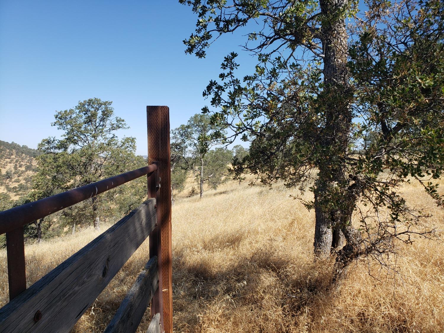 Medina Court, La Grange, California image 8