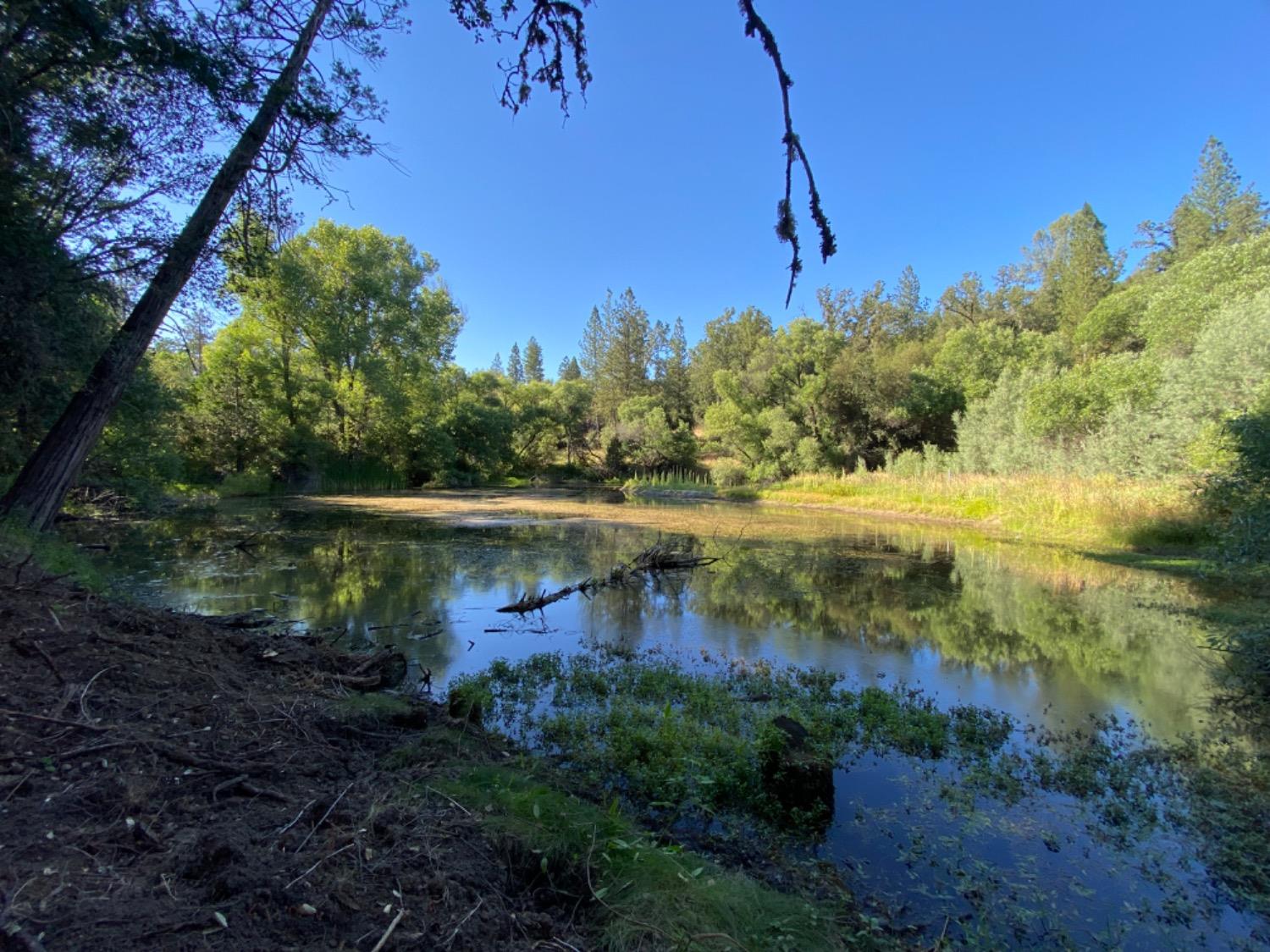 Detail Gallery Image 14 of 62 For 11 Spanish Creek Rd, Somerset,  CA 95684 - – Beds | – Baths