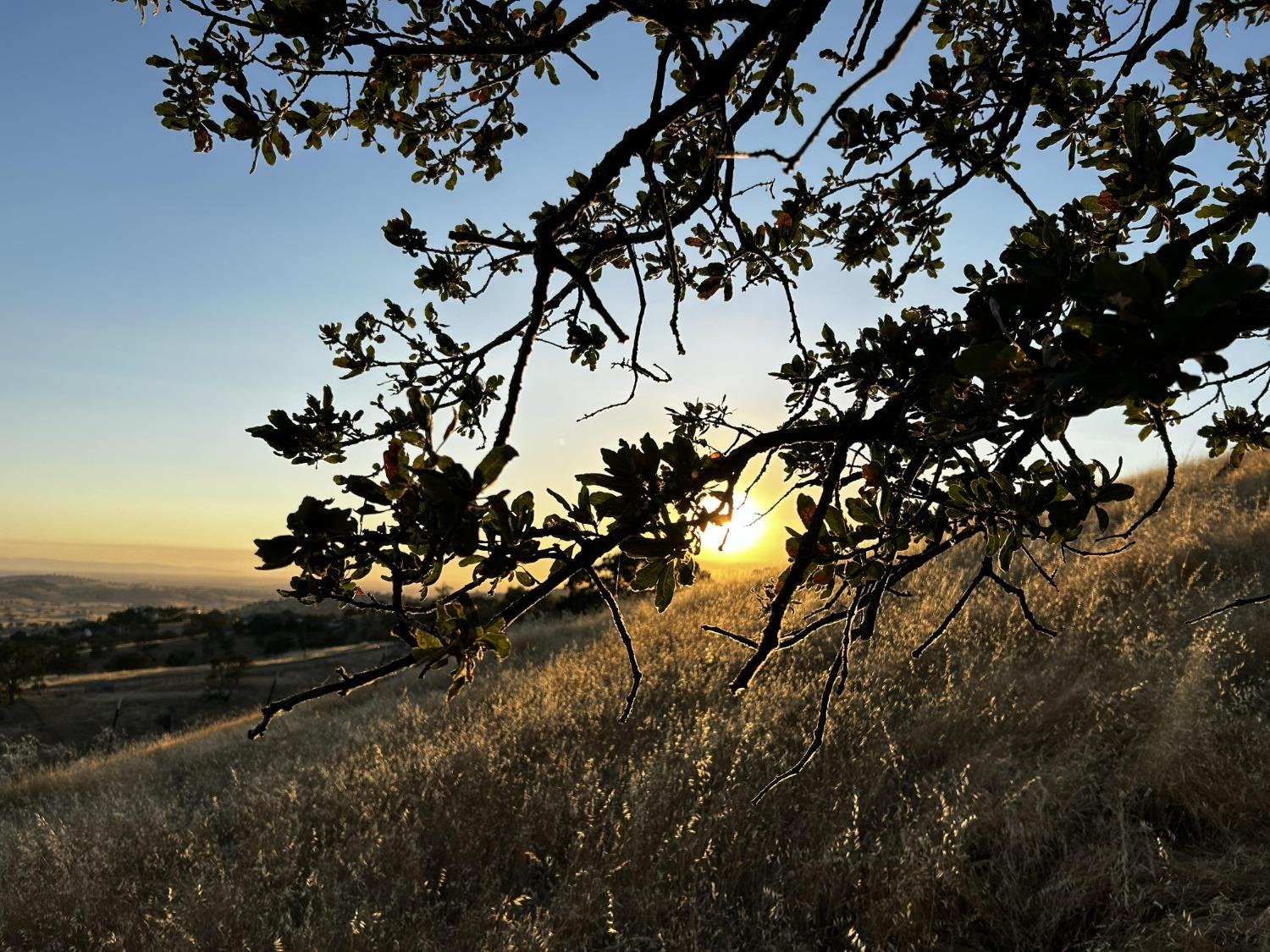 Carrizo Way, La Grange, California image 39