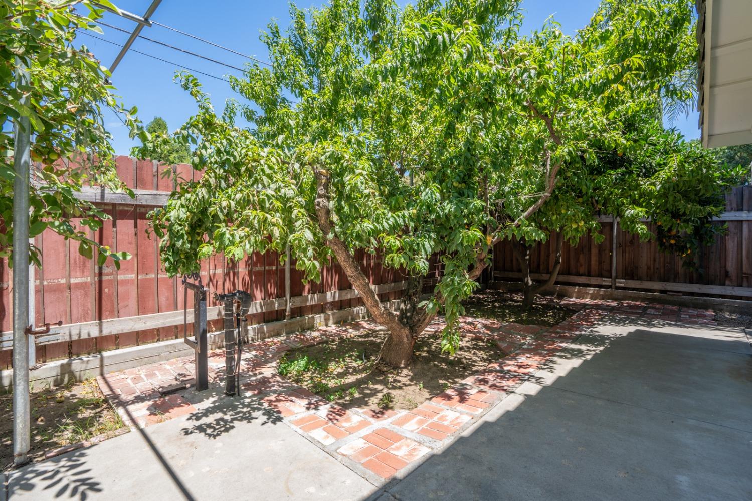 Detail Gallery Image 15 of 42 For 713 Marin Ave, Modesto,  CA 95358 - 3 Beds | 2 Baths