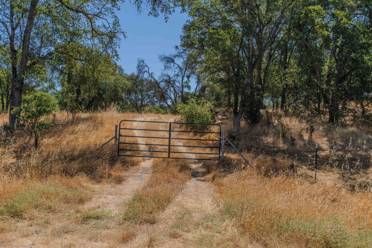 Red Valley Road, Ione, California image 14