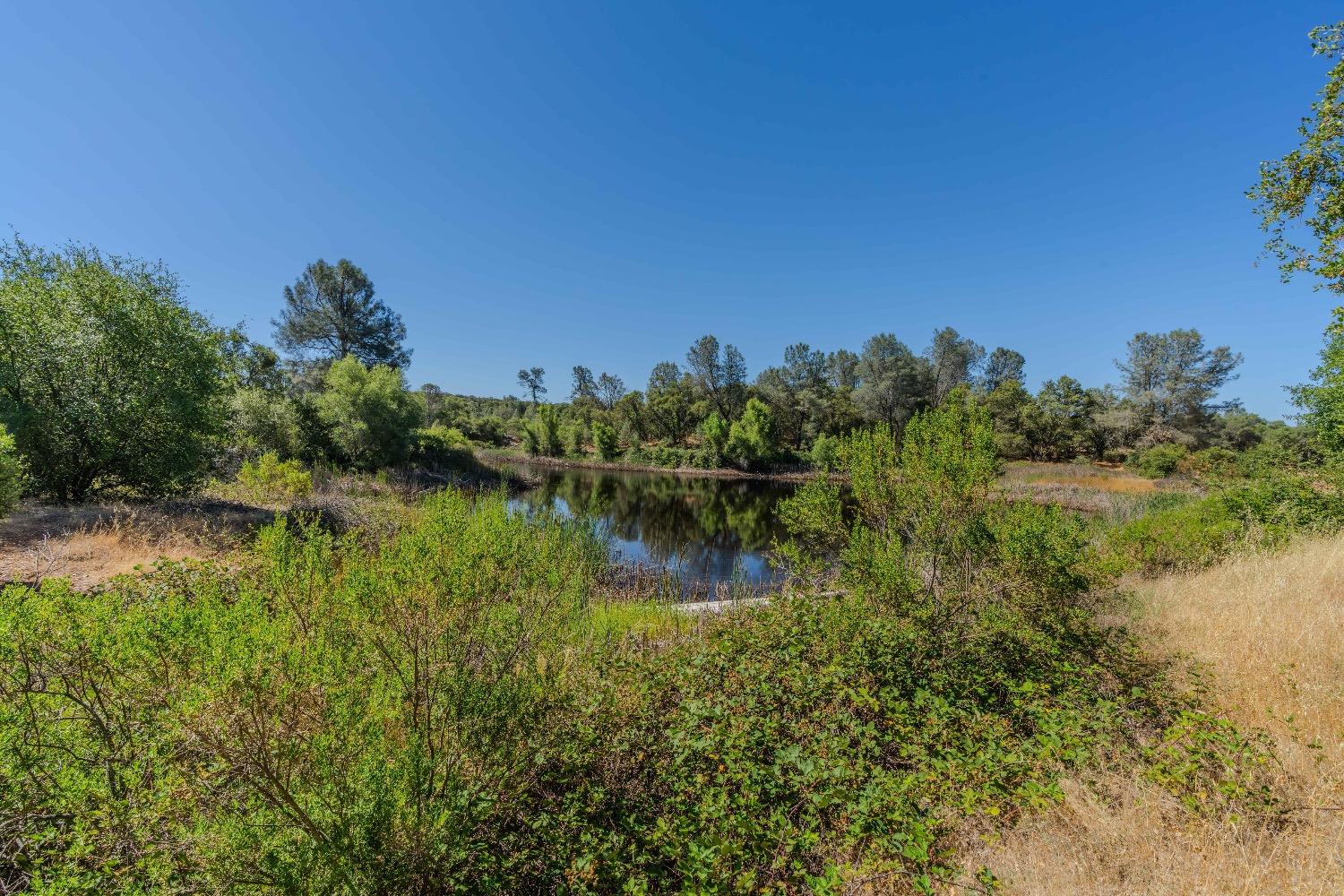 Detail Gallery Image 10 of 30 For 5650 Red Valley Rd, Ione,  CA 95640 - – Beds | – Baths