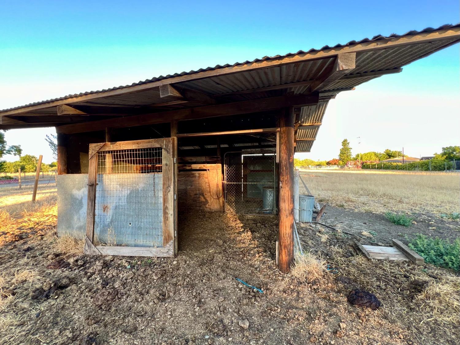 Almond Avenue, Arbuckle, California image 38