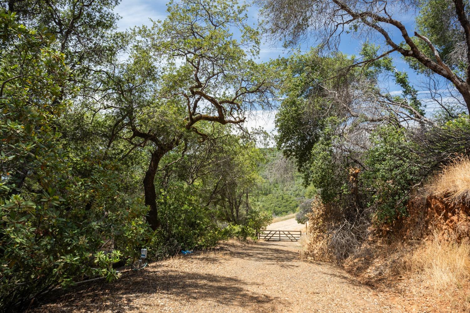 Detail Gallery Image 72 of 79 For 280 Canyon Creek Rd, Berry Creek,  CA 95916 - 2 Beds | 2 Baths