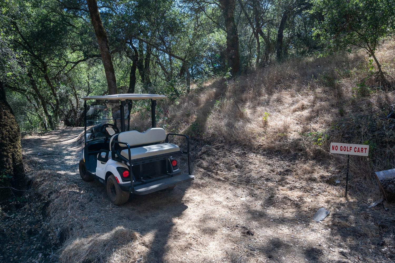 Detail Gallery Image 7 of 52 For 6060 Terra's Path, Placerville,  CA 95667 - 3 Beds | 2 Baths