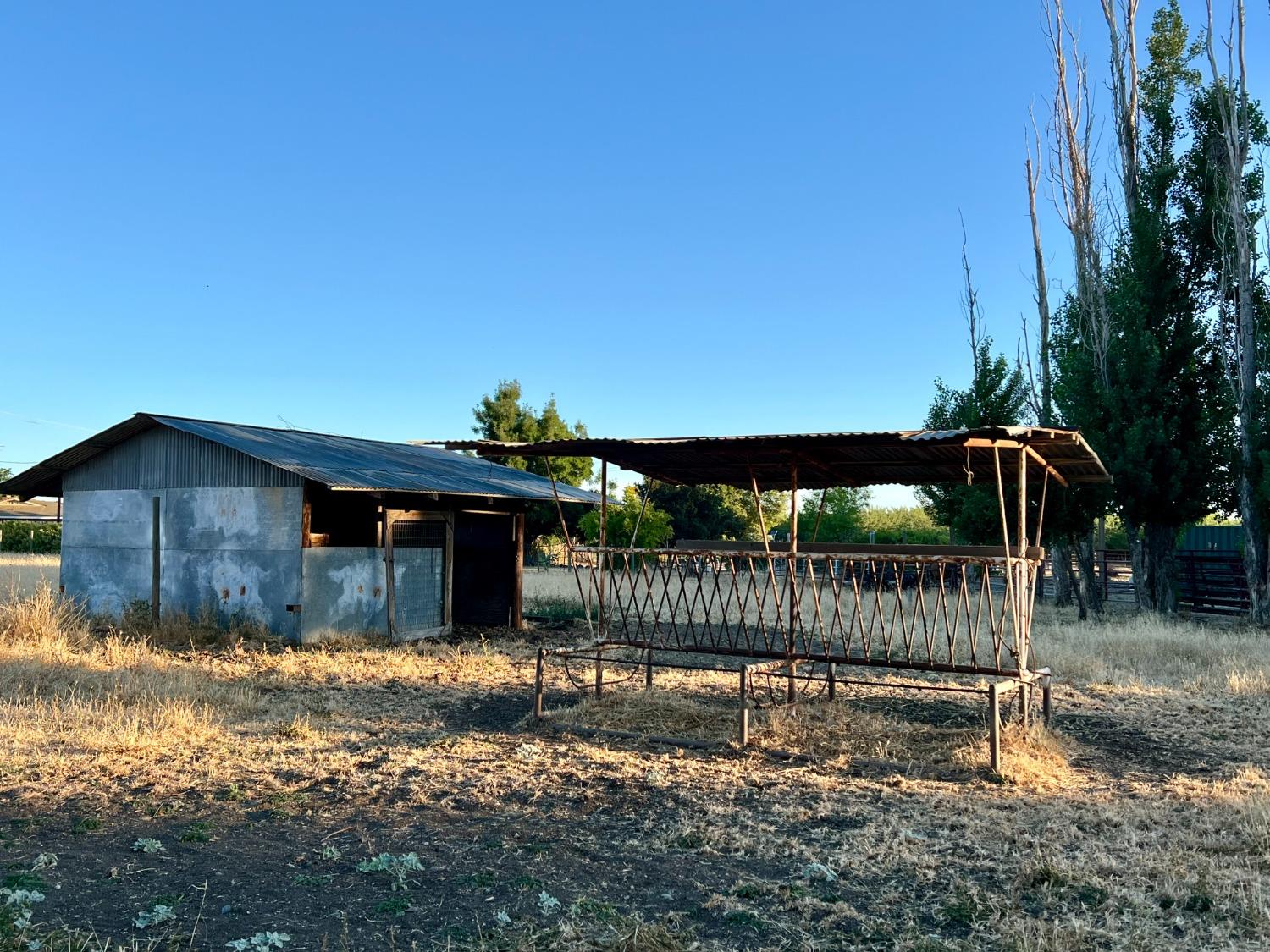 Almond Avenue, Arbuckle, California image 36