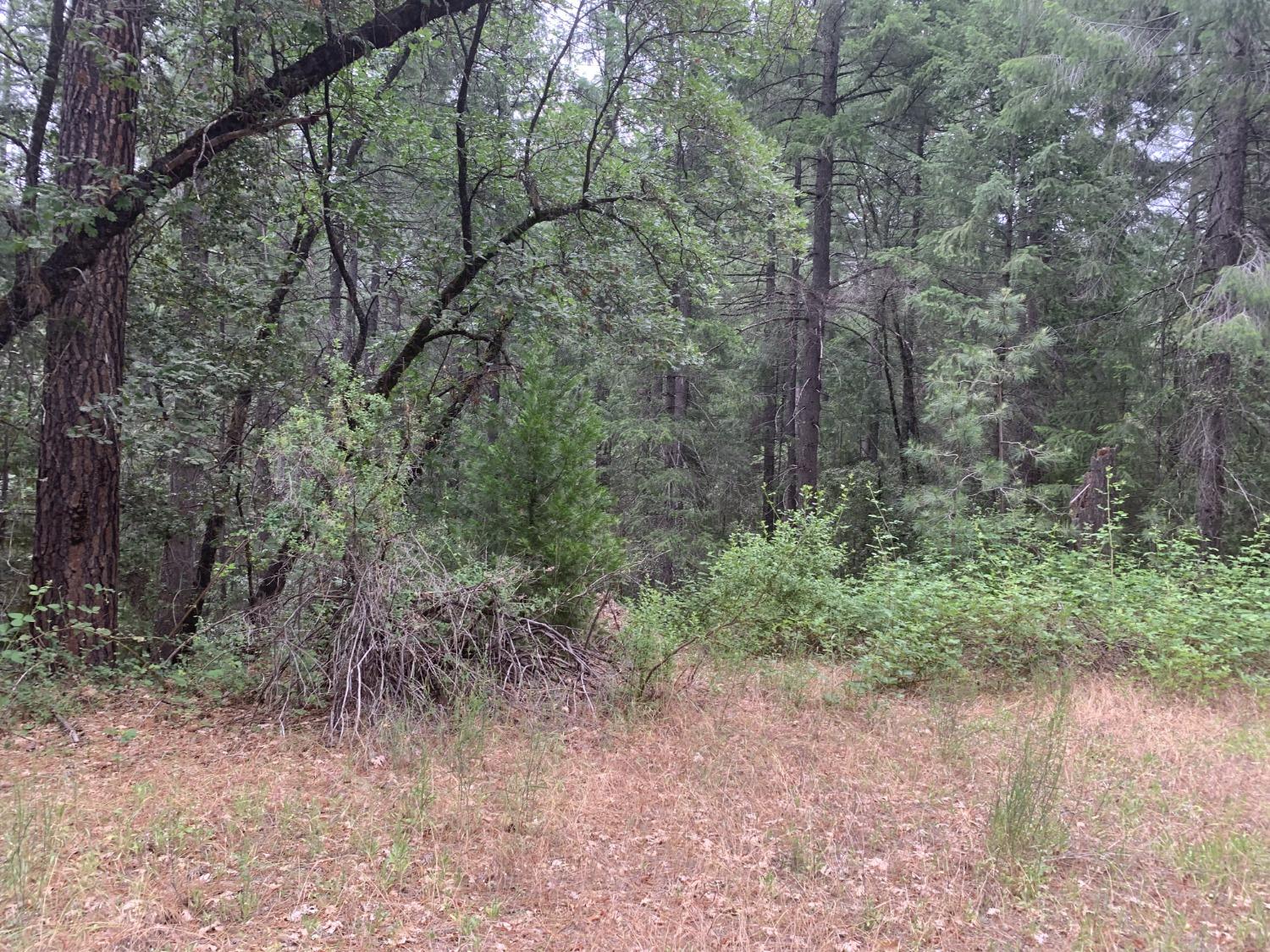 Amapola Court, Pollock Pines, California image 2
