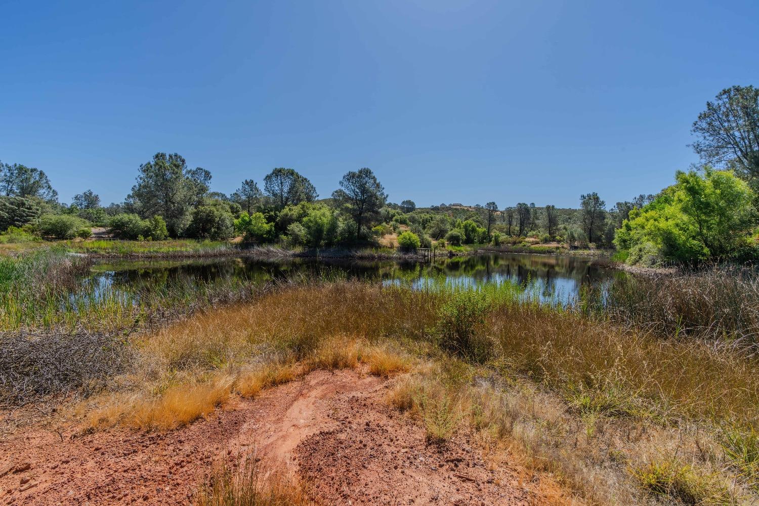 Detail Gallery Image 11 of 30 For 5650 Red Valley Rd, Ione,  CA 95640 - – Beds | – Baths