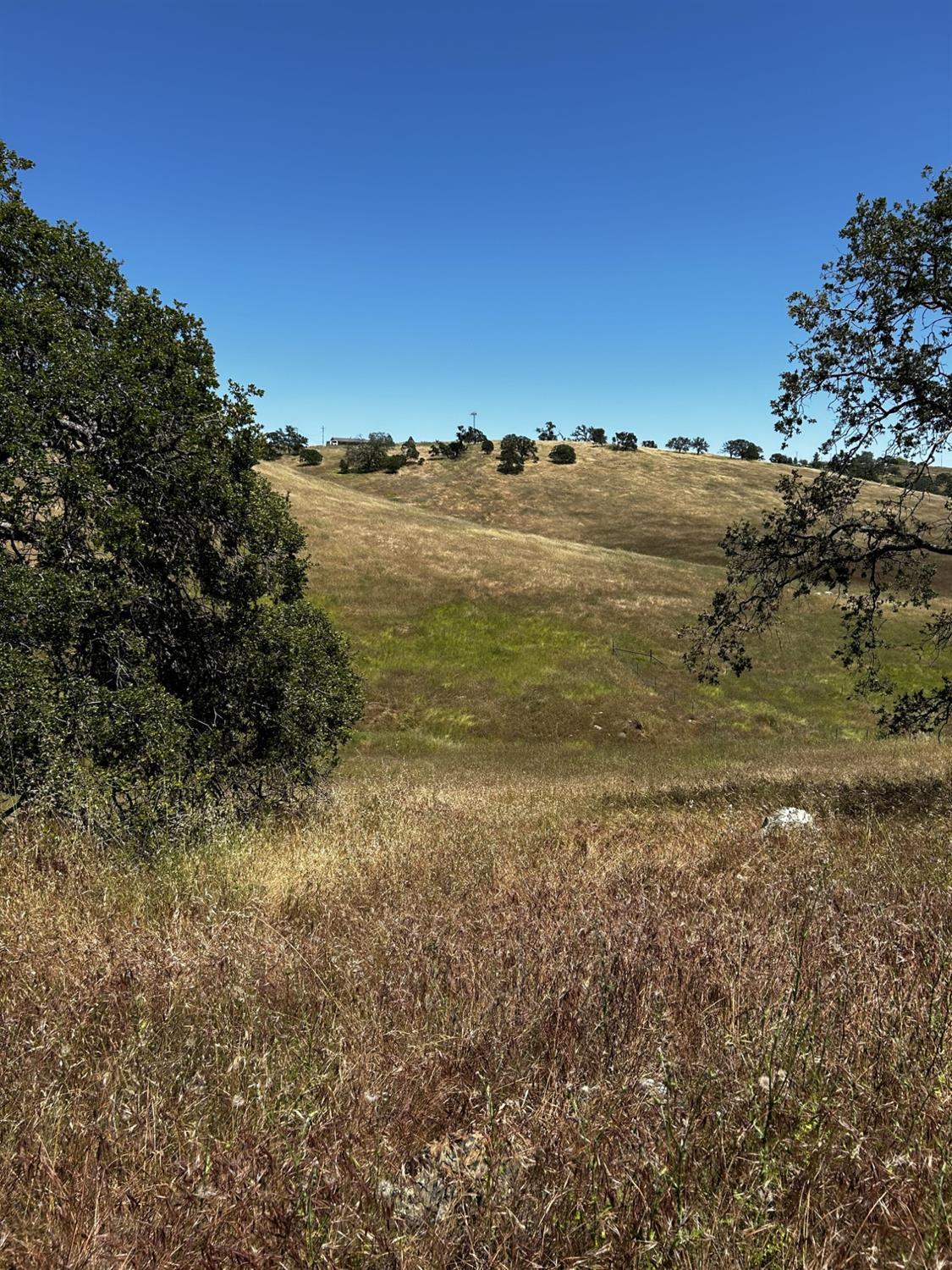 Carrizo Way, La Grange, California image 10